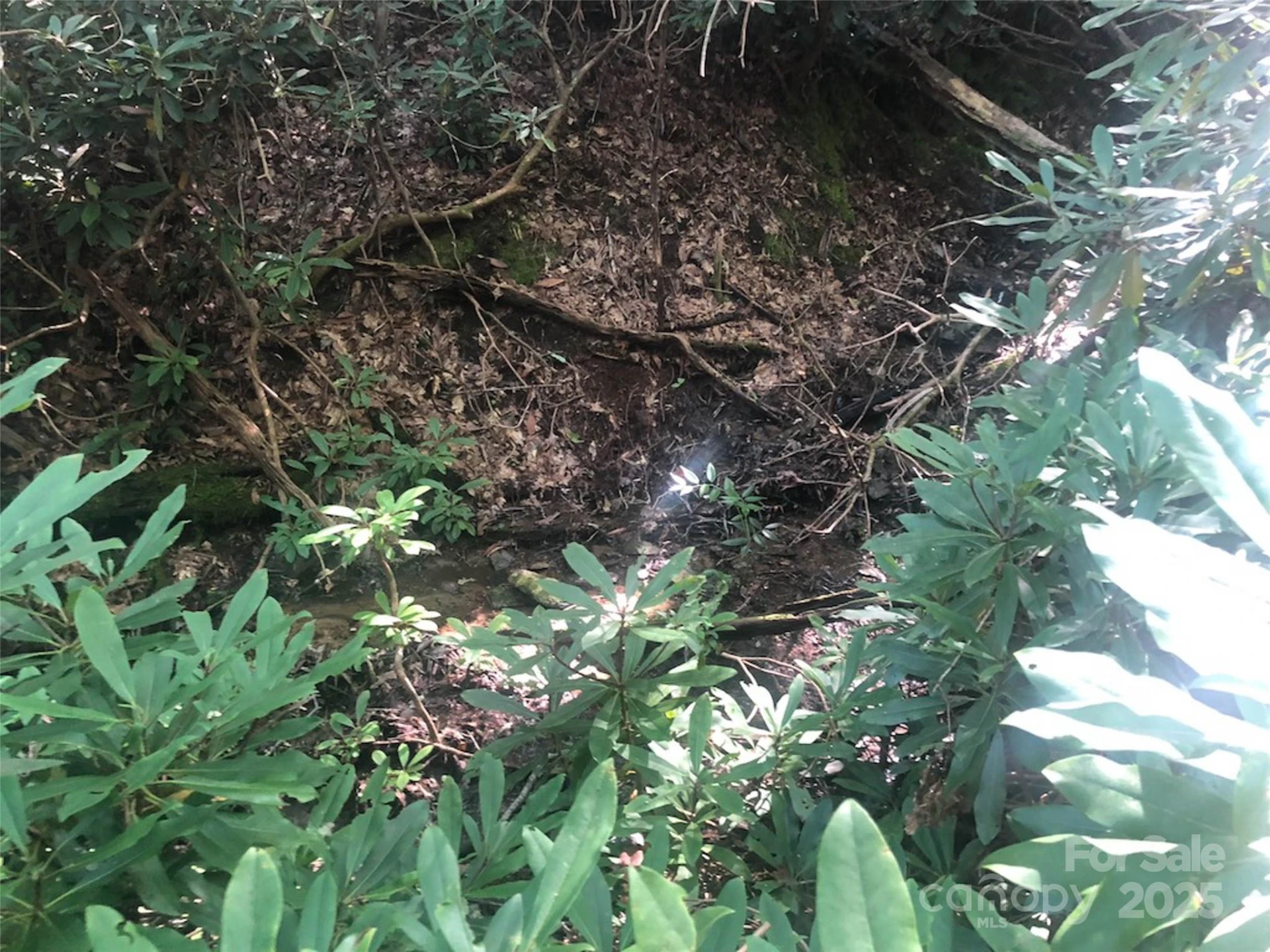 TBD Peppervine Circle #94 - Photo 8