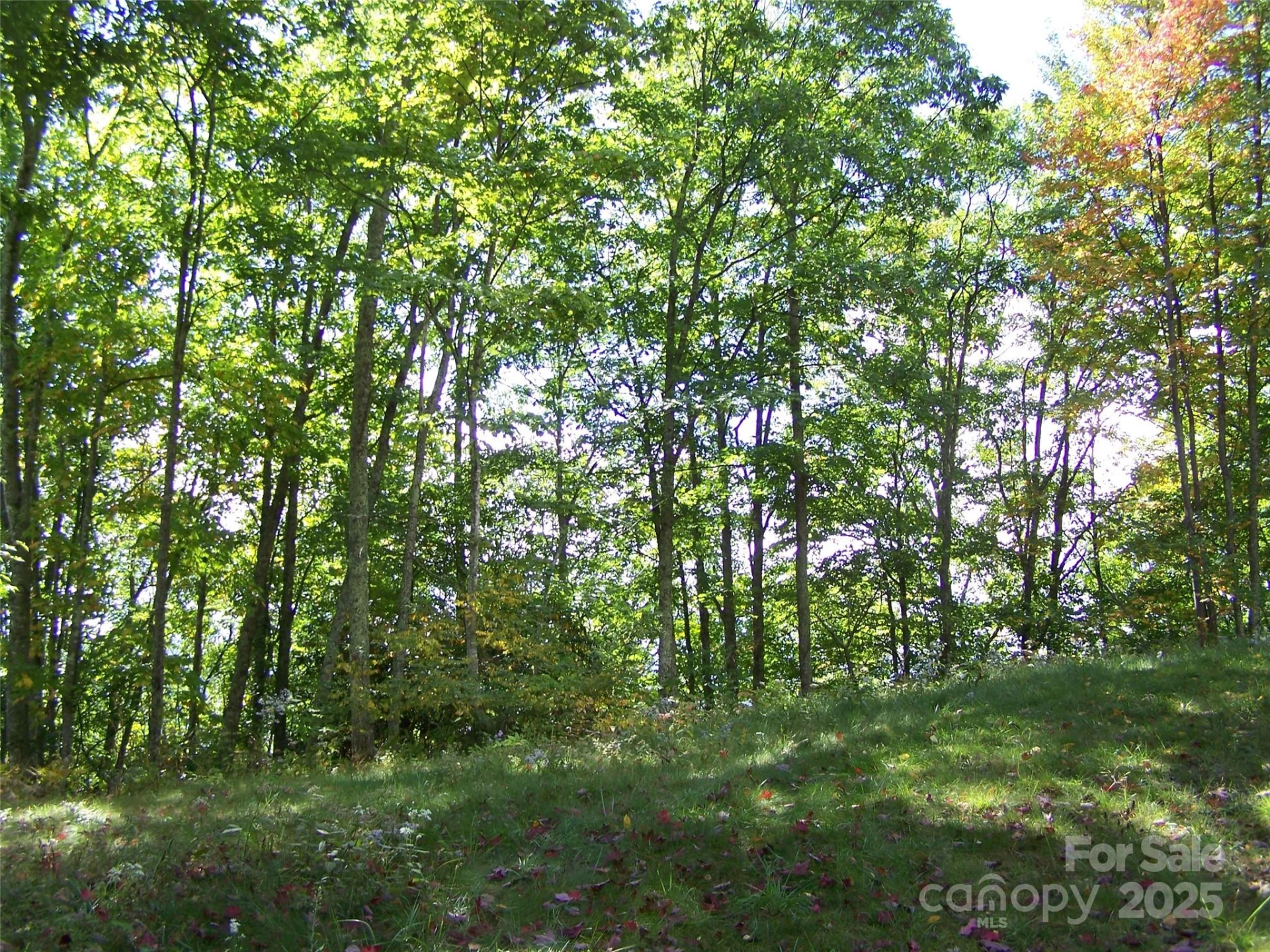 000 Fie Top Road - Photo 2