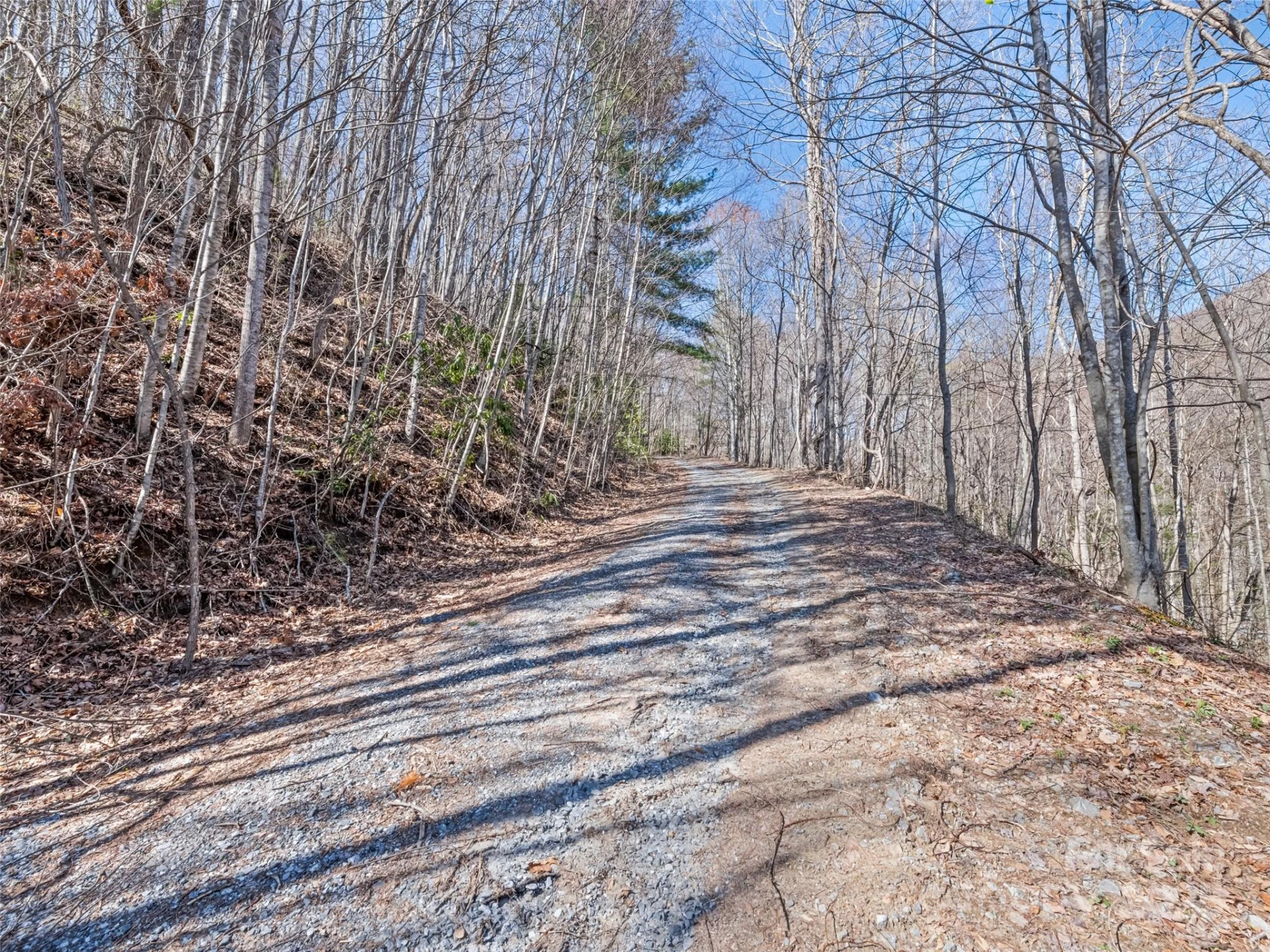 000 Fie Top Road - Photo 19