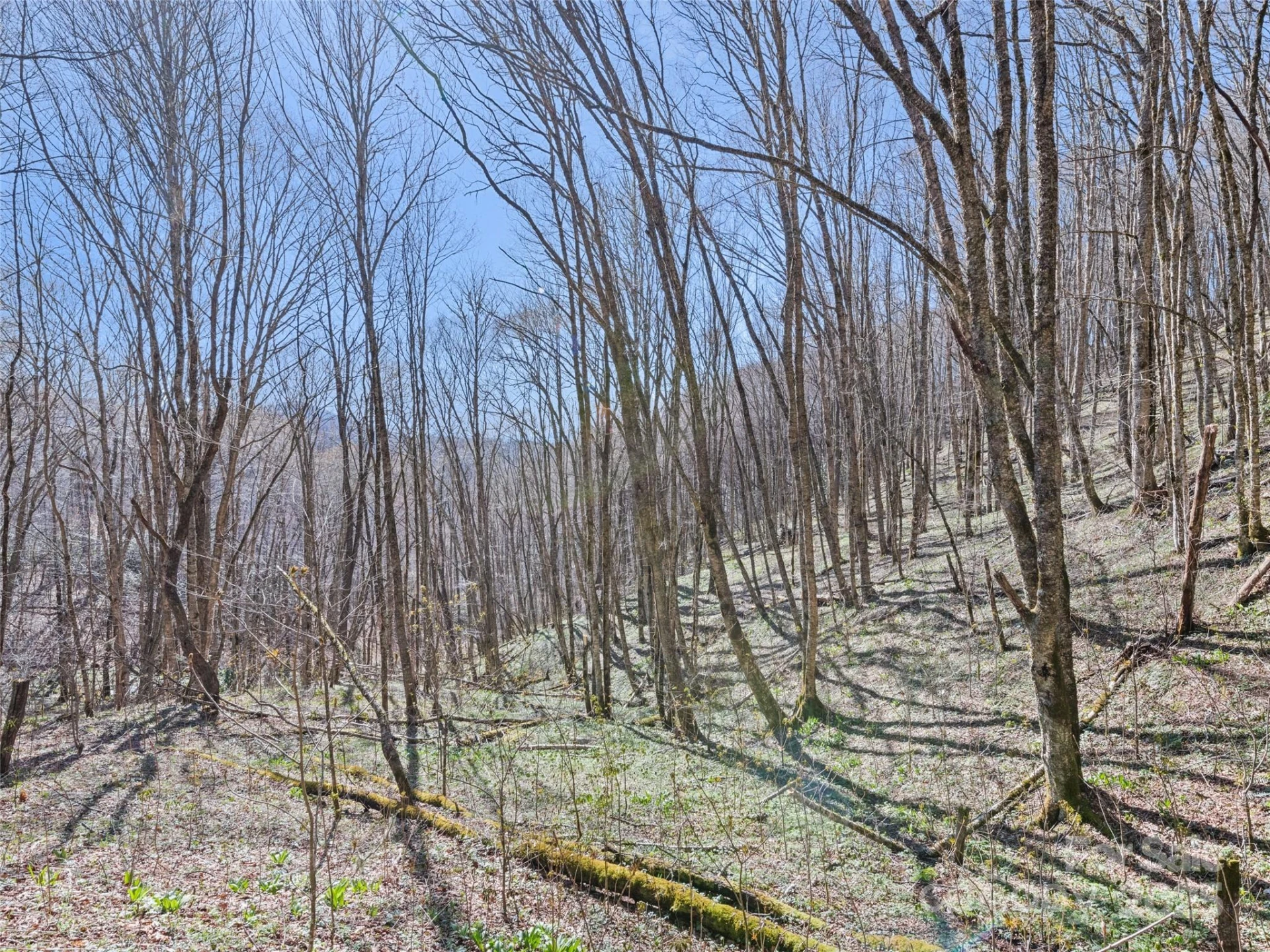 000 Fie Top Road - Photo 29
