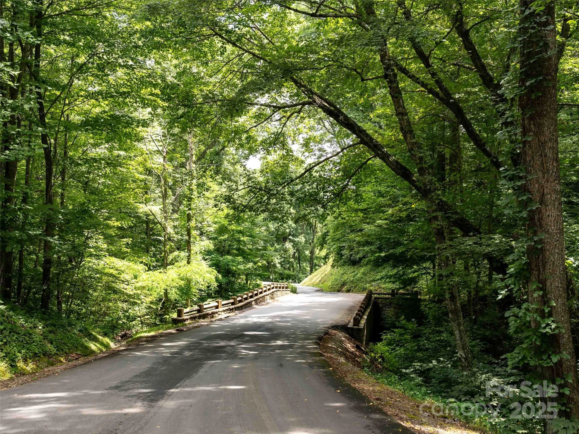 00 Wandering Trail #98 - Photo 13