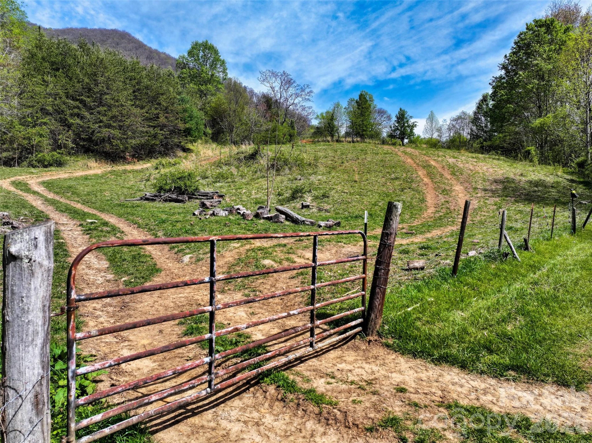 1567 Newfound Road - Photo 11
