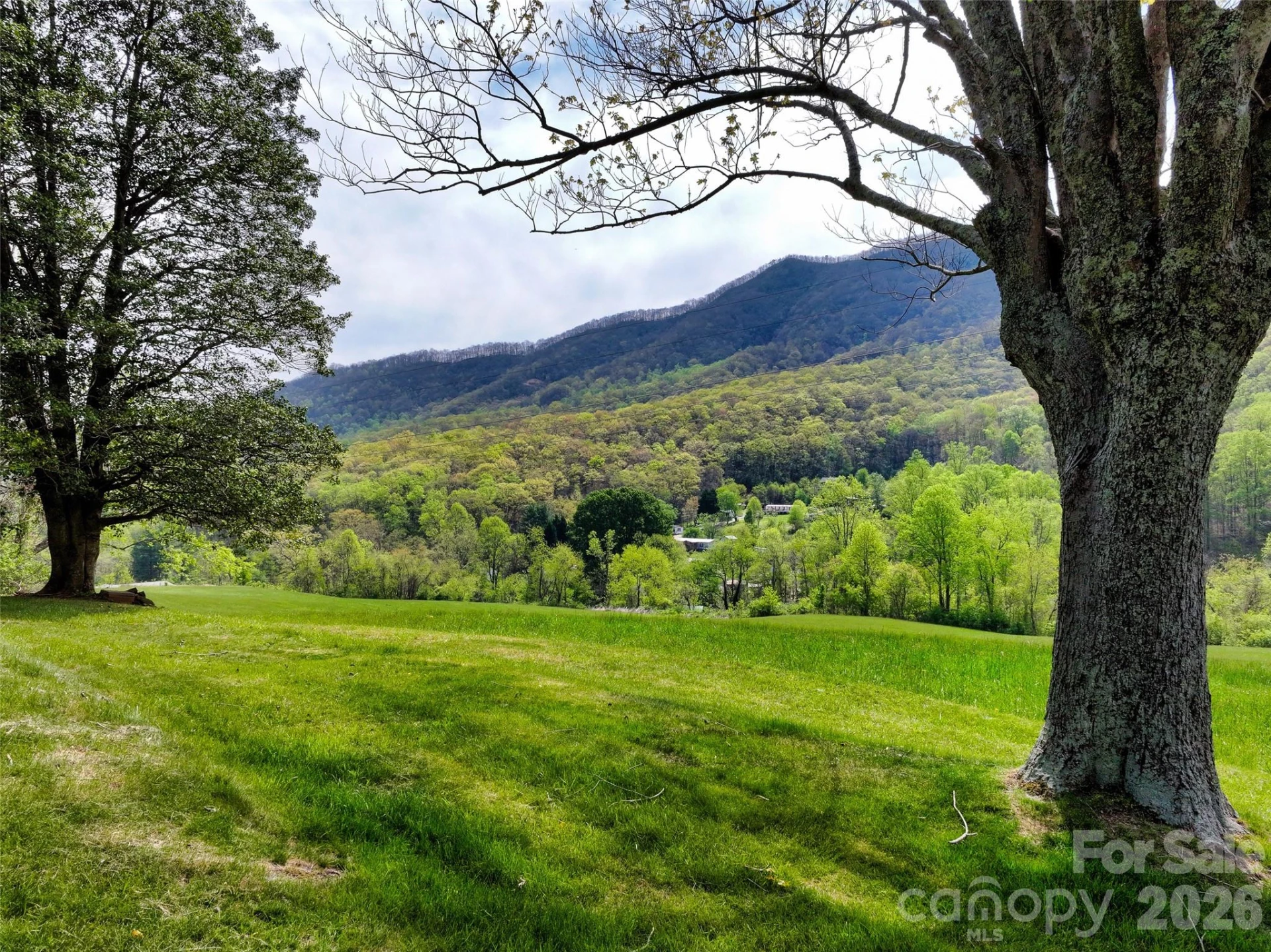 1567 Newfound Road - Photo 35
