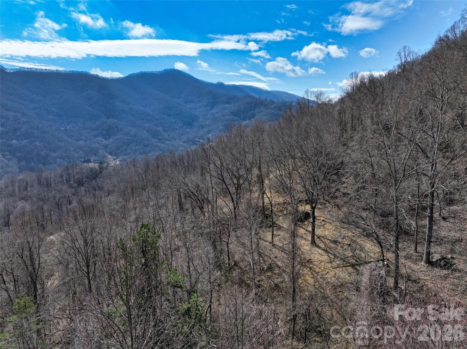 1567 Newfound Road - Photo 41