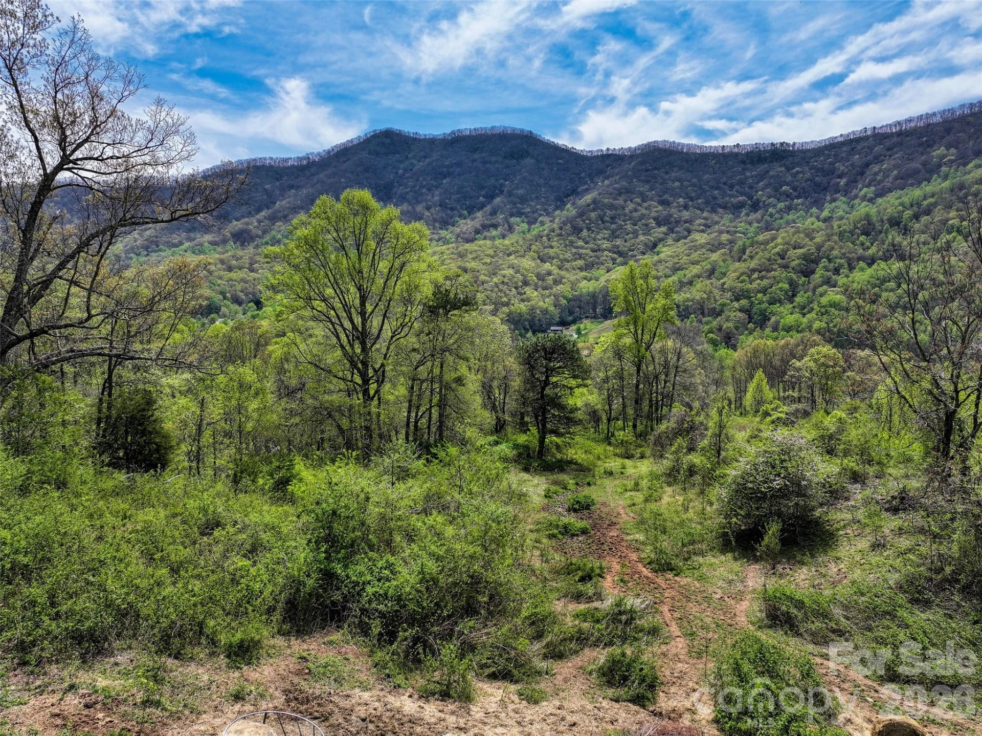 1567 Newfound Road - Photo 9