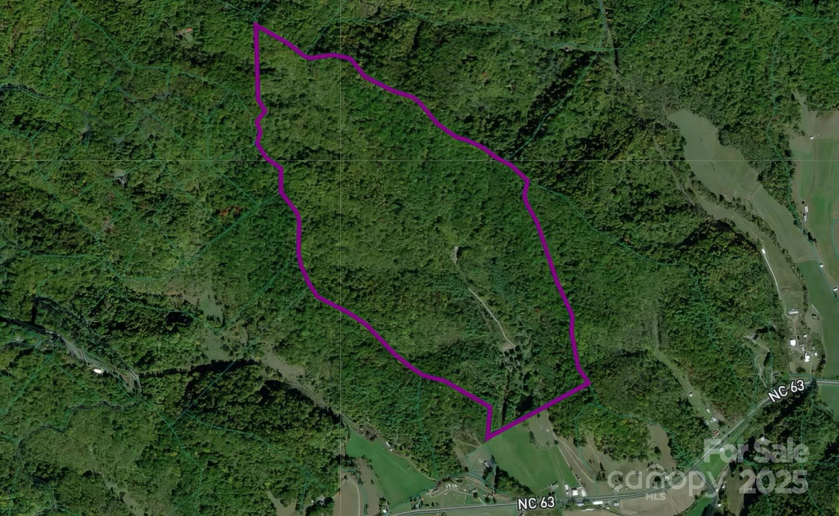 8749 Nc 63 Highway - Photo 2