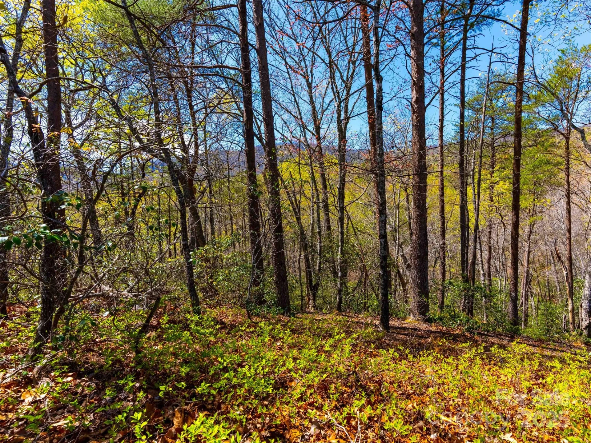 107 Deep Gap Road E