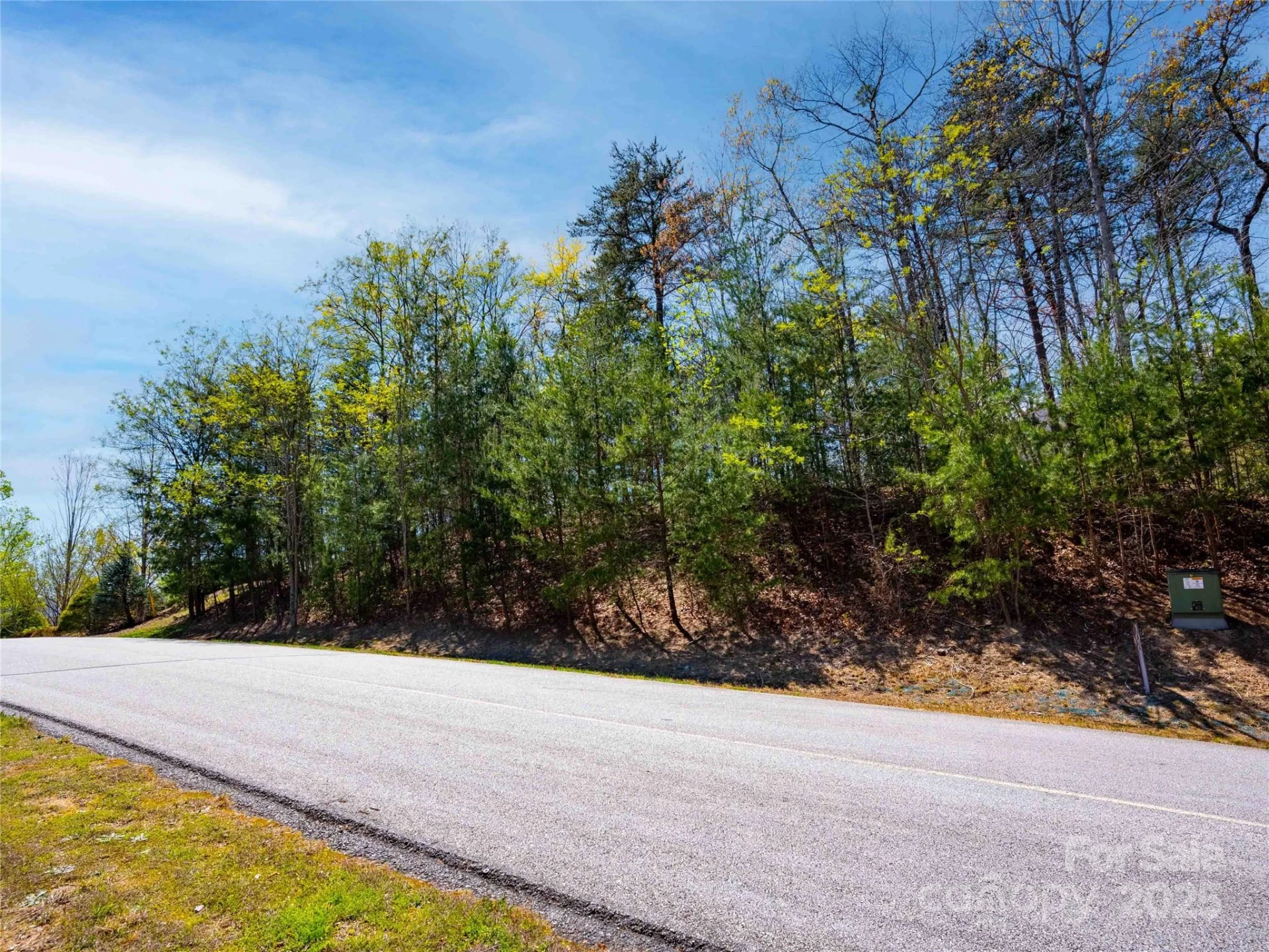 107 Deep Gap Road E - Photo 3