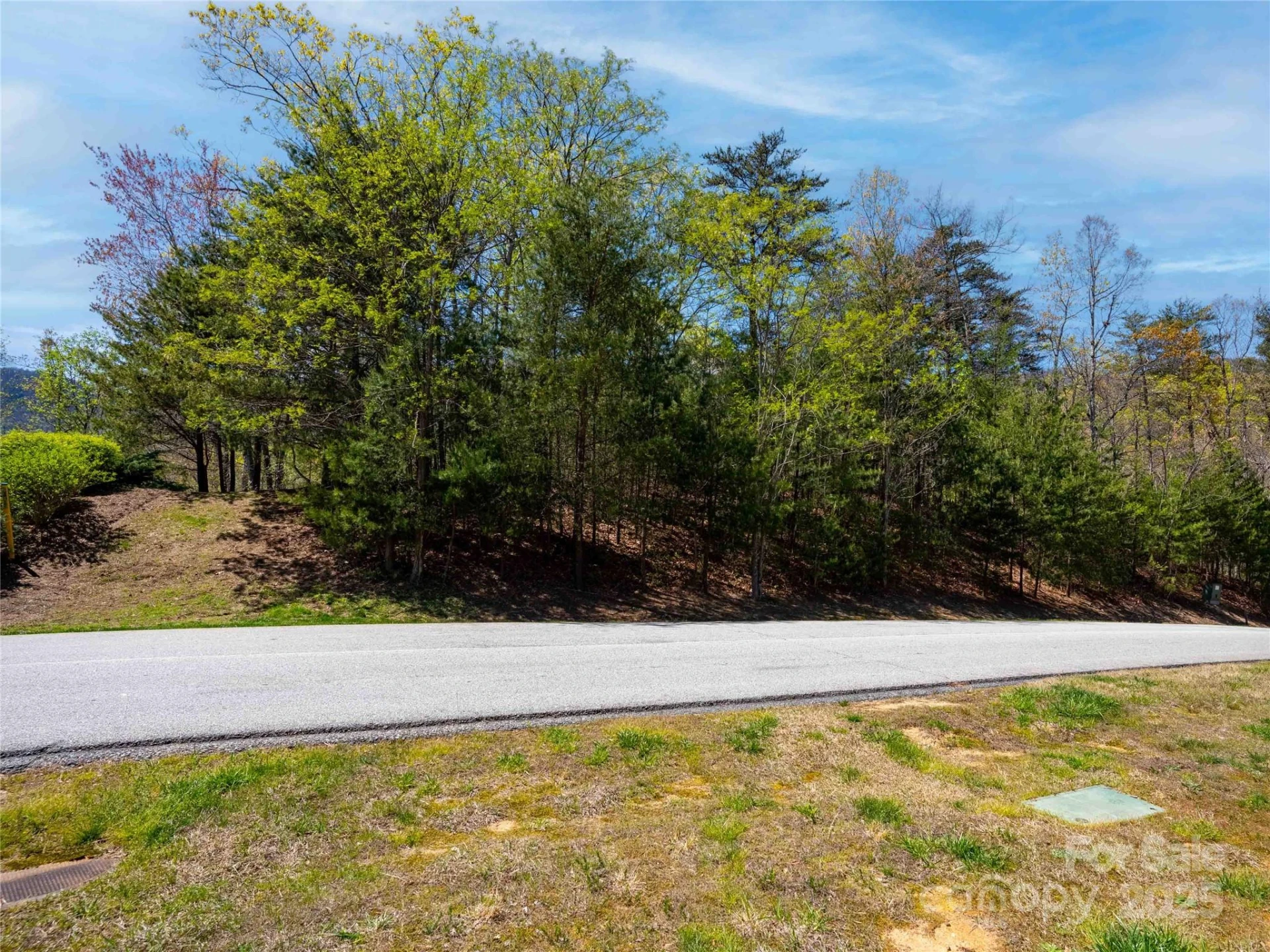 107 Deep Gap Road E - Photo 4