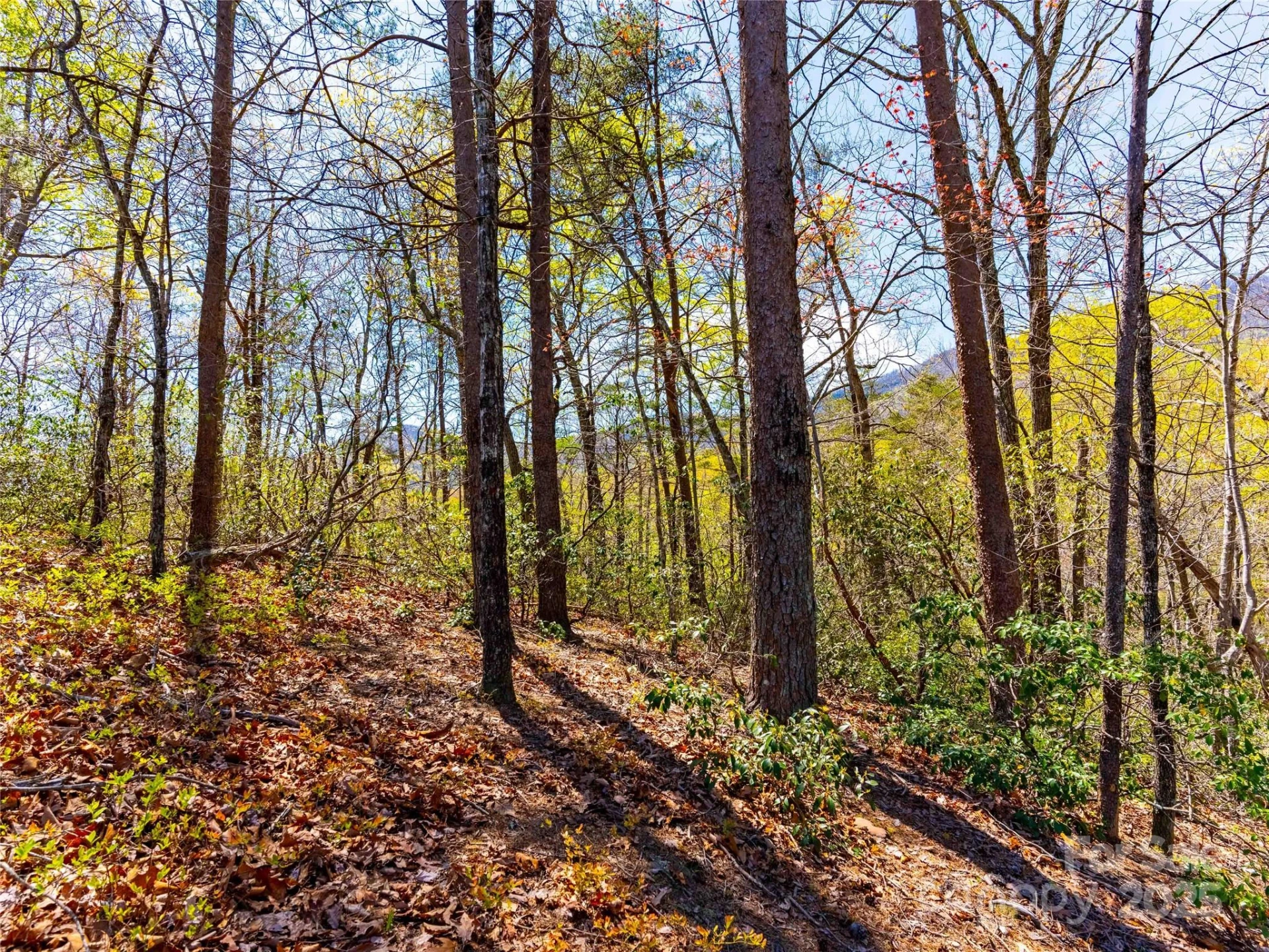 107 Deep Gap Road E - Photo 5