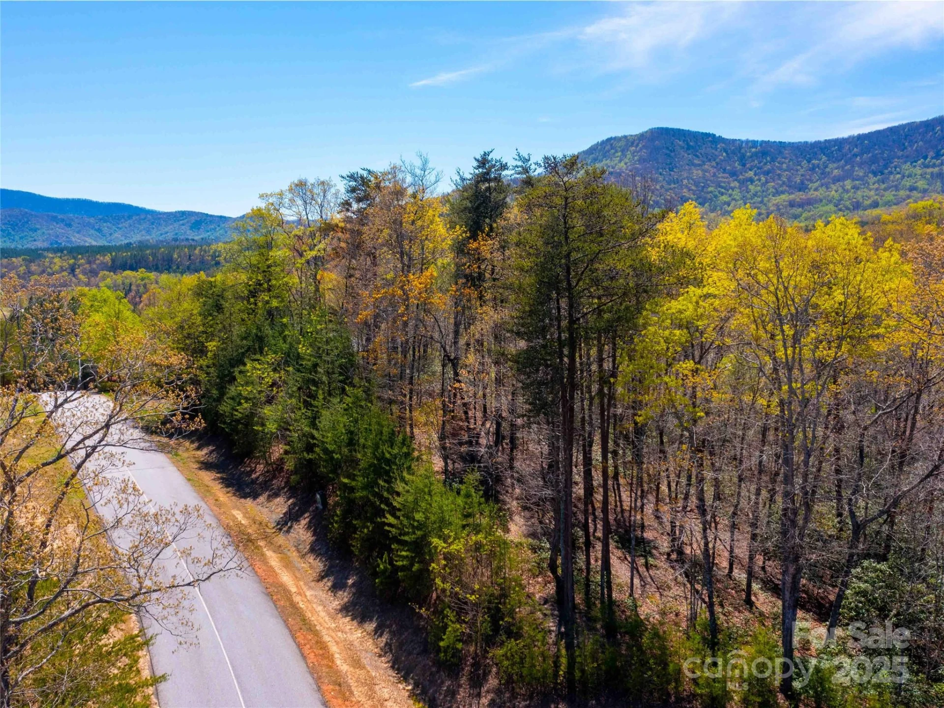 107 Deep Gap Road E - Photo 6