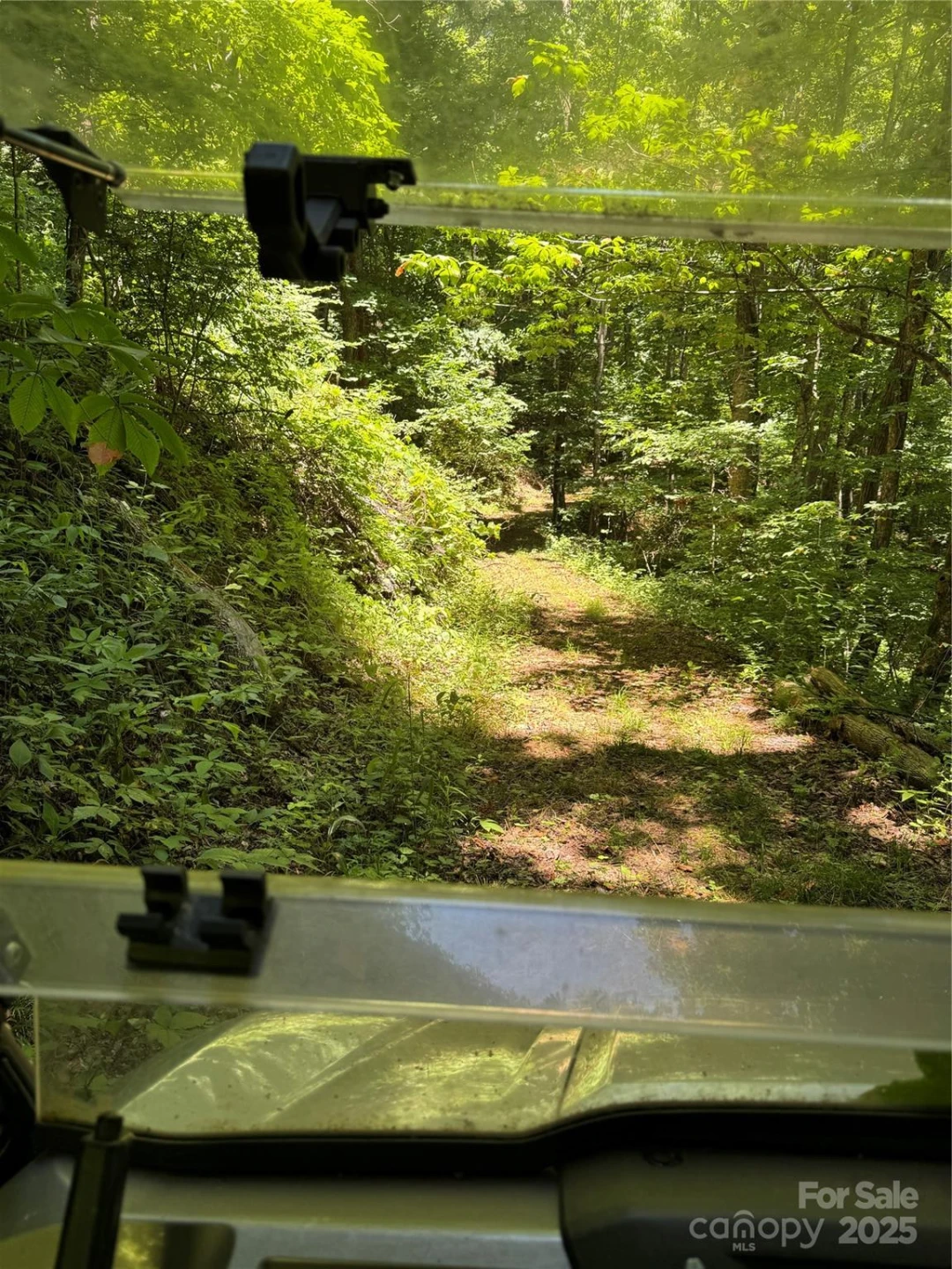 000 Larchwood Point - Photo 11