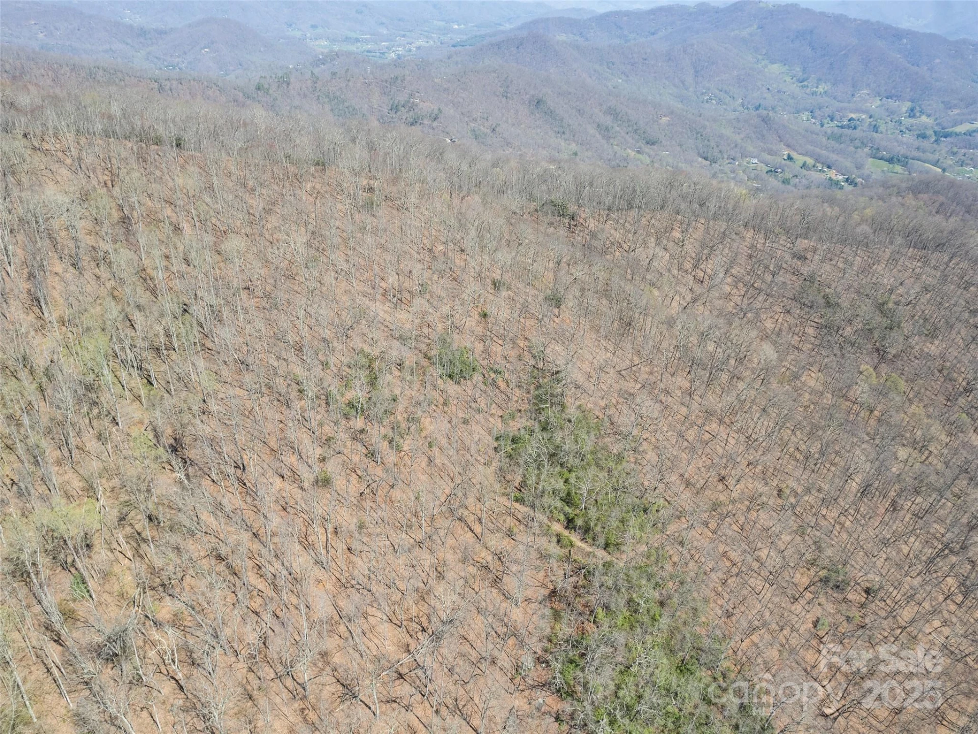 000 Larchwood Point - Photo 31