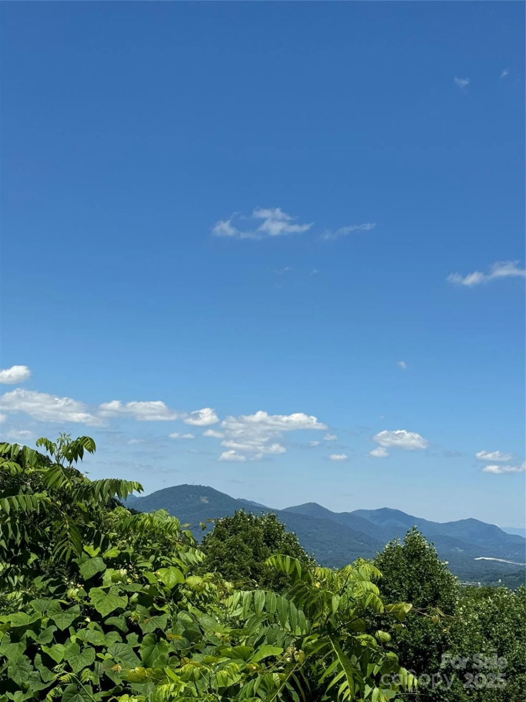 000 Larchwood Point - Photo 5