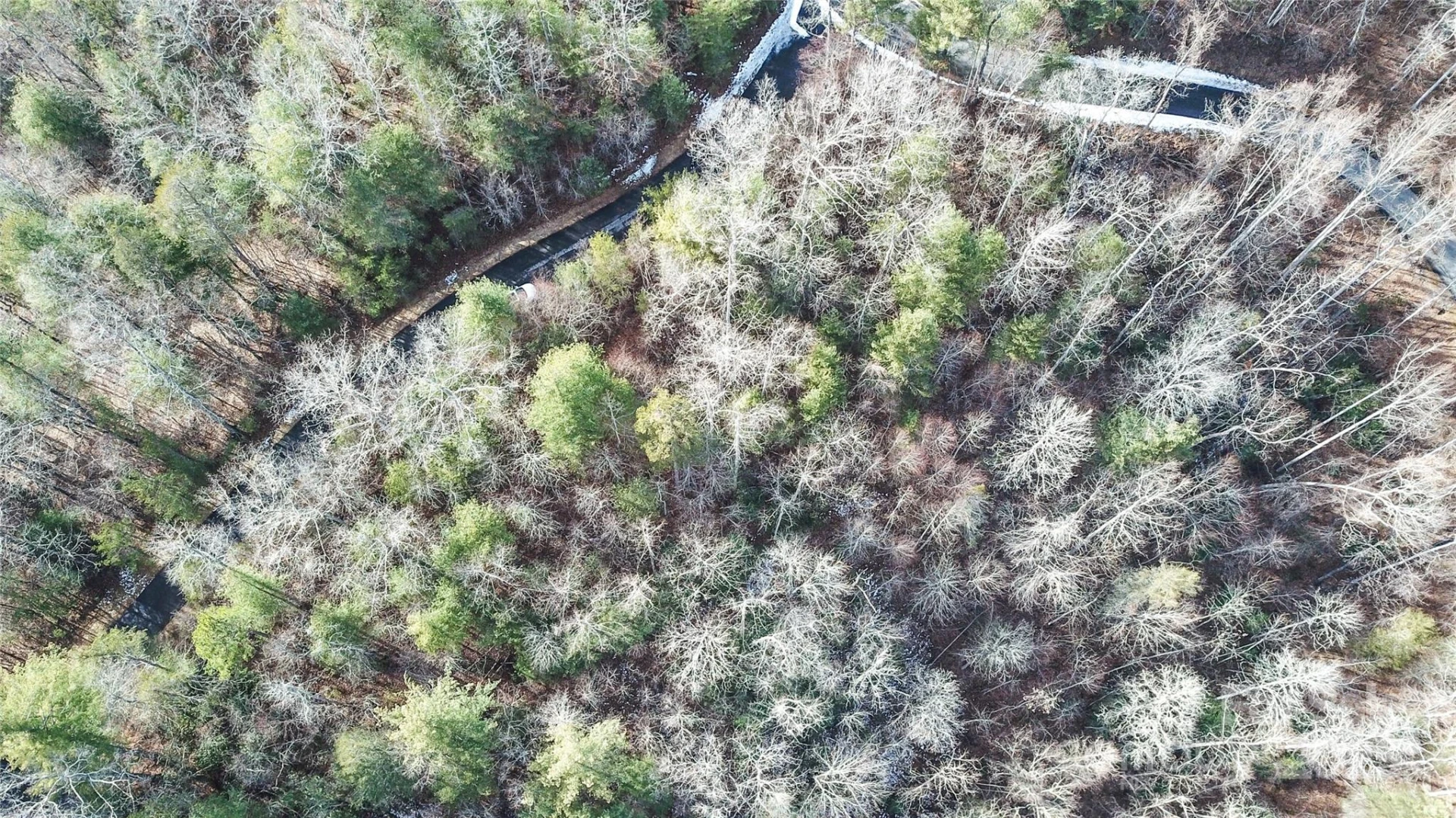0000 Stepp Ridge Court - Photo 4