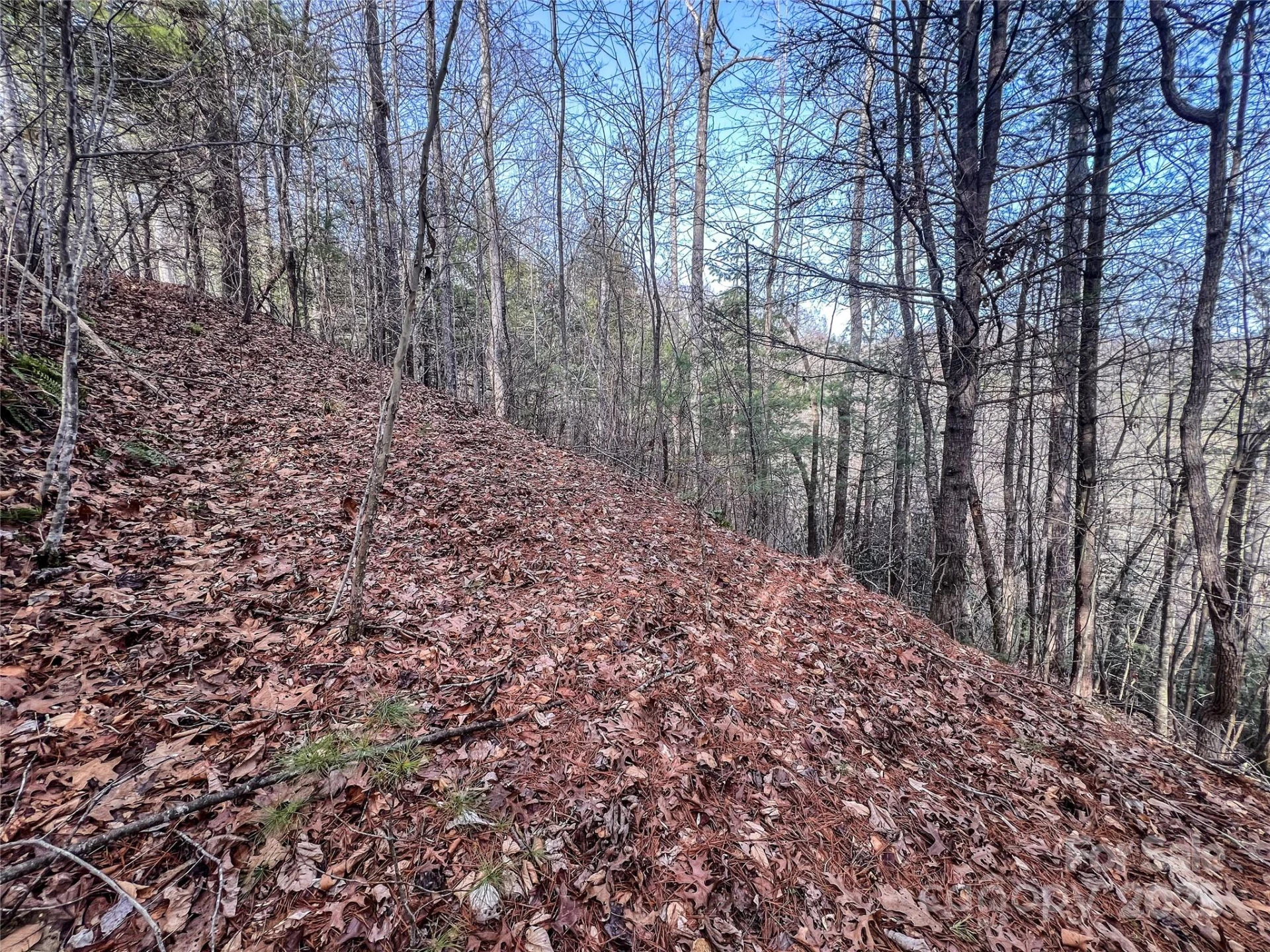 0000 Stepp Ridge Court - Photo 6