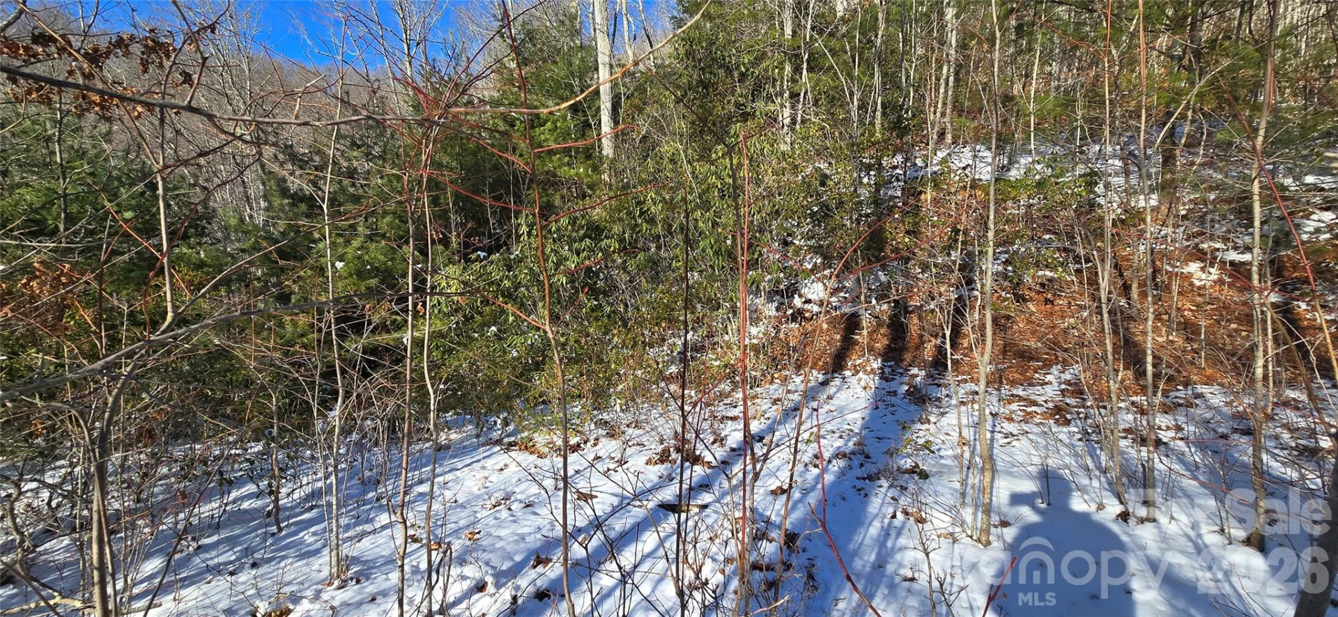 Lot 11 Bernies Trail - Photo 3
