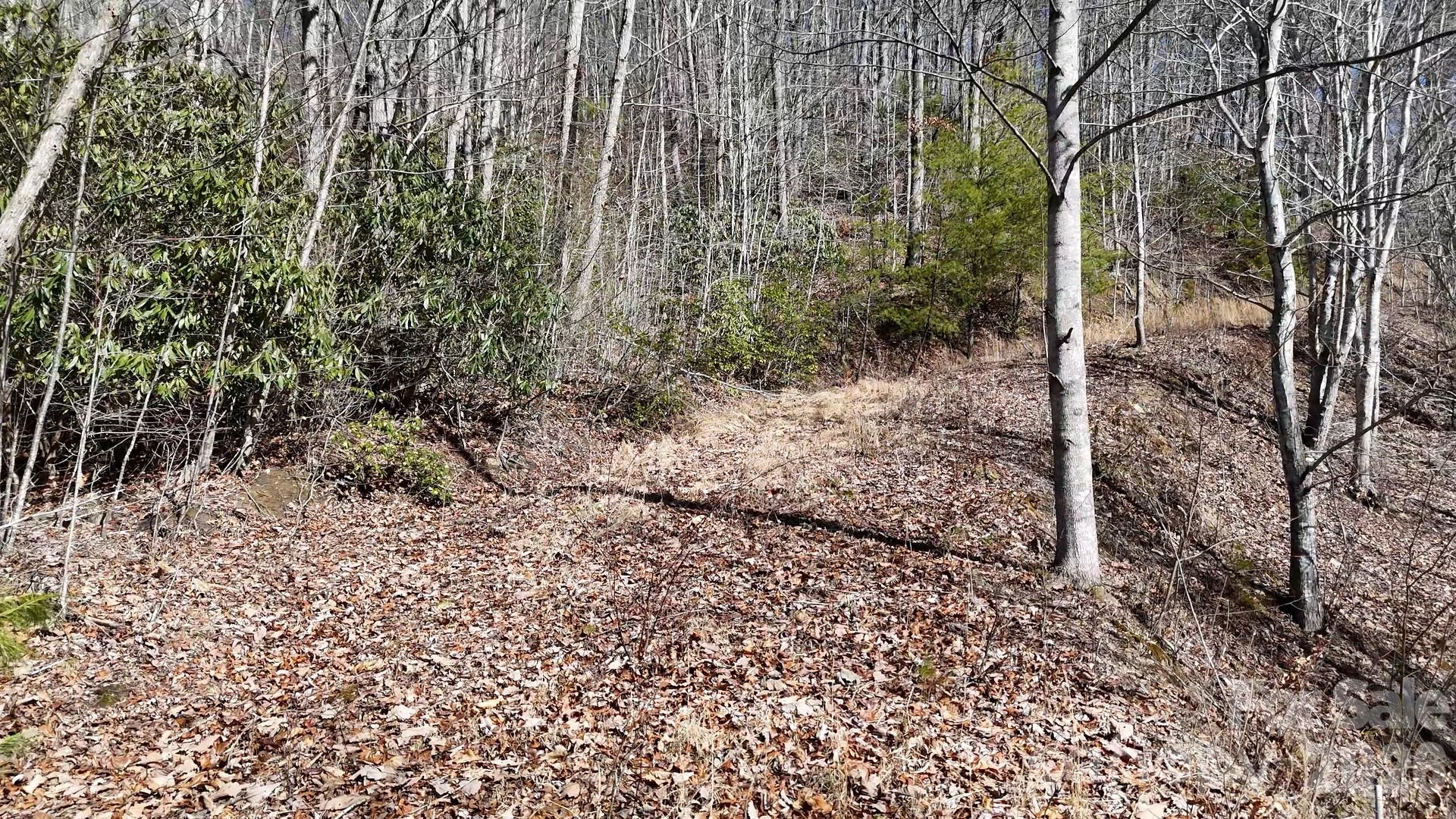 Lot 11 Bernies Trail - Photo 22