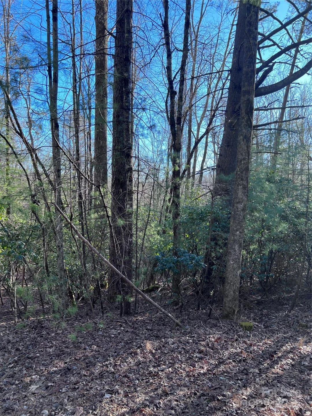 L26 Konnaneeta Trail #U03 L026 - Photo 2
