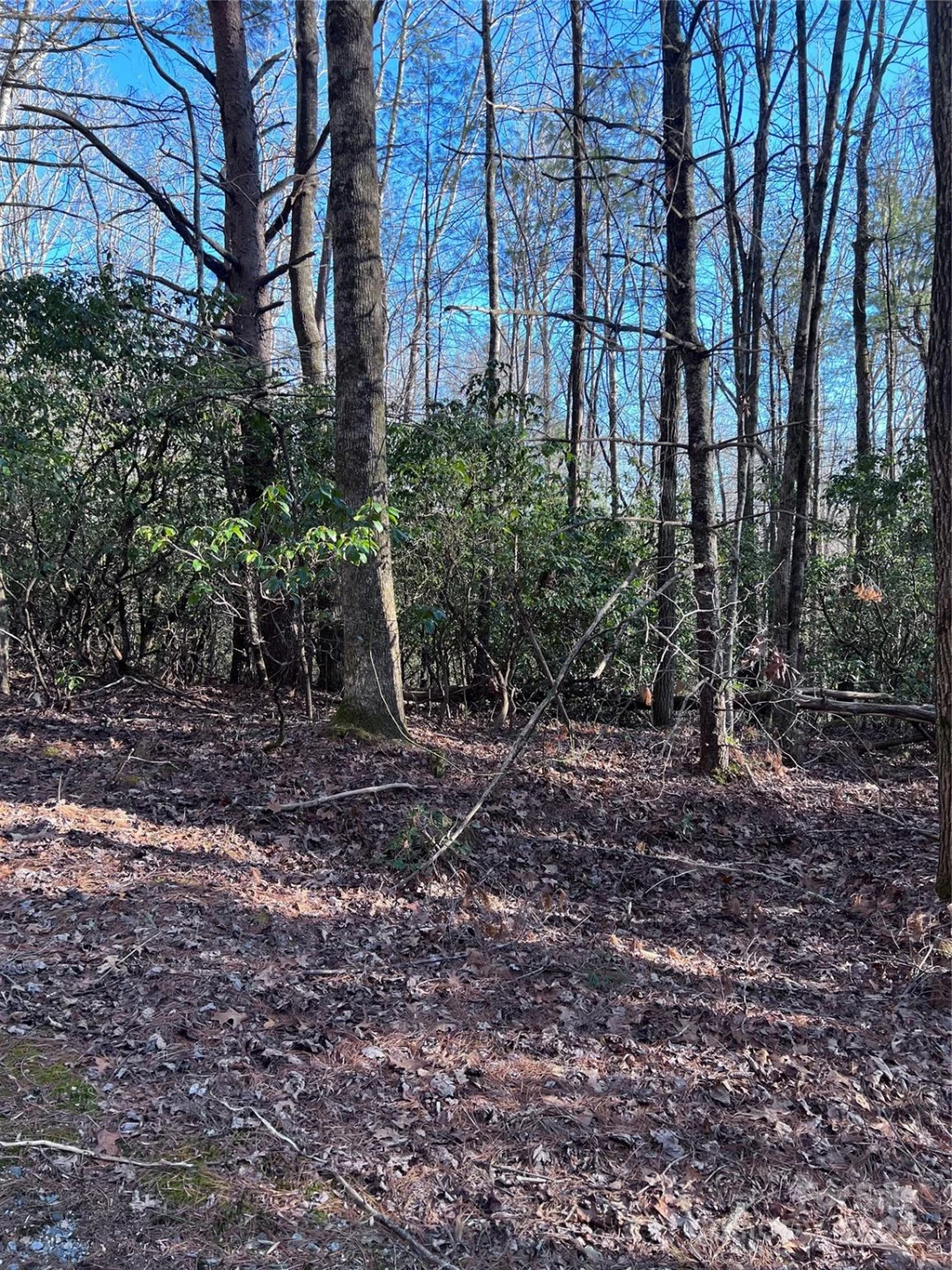 L26 Konnaneeta Trail #U03 L026 - Photo 12