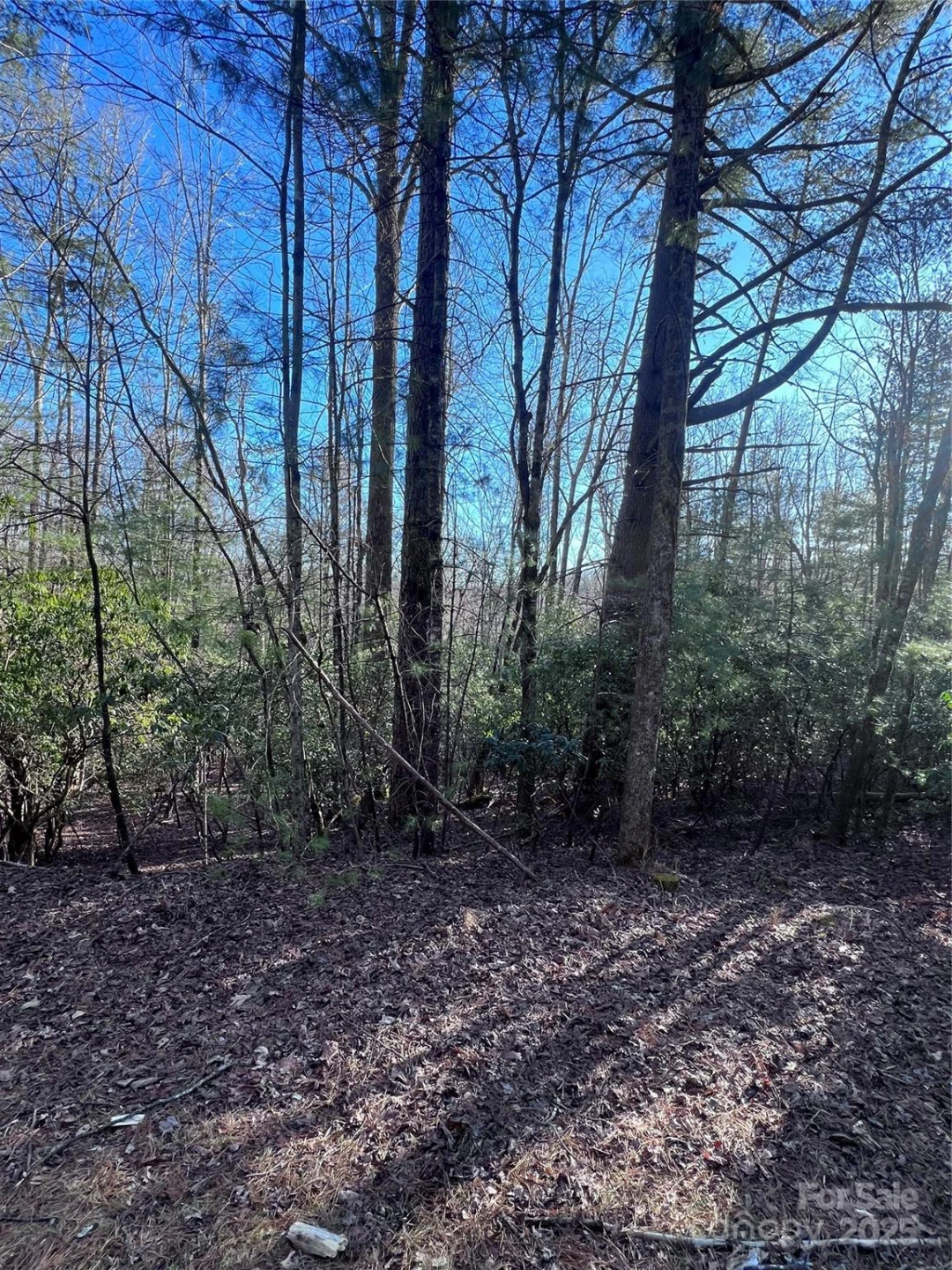 L26 Konnaneeta Trail #U03 L026 - Photo 3