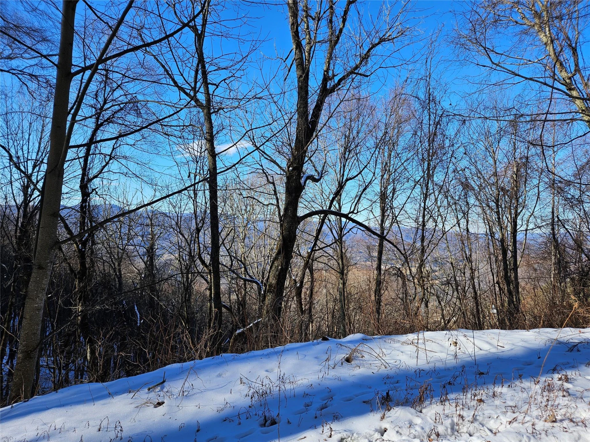 00 Marney's Vista Road - Photo 2