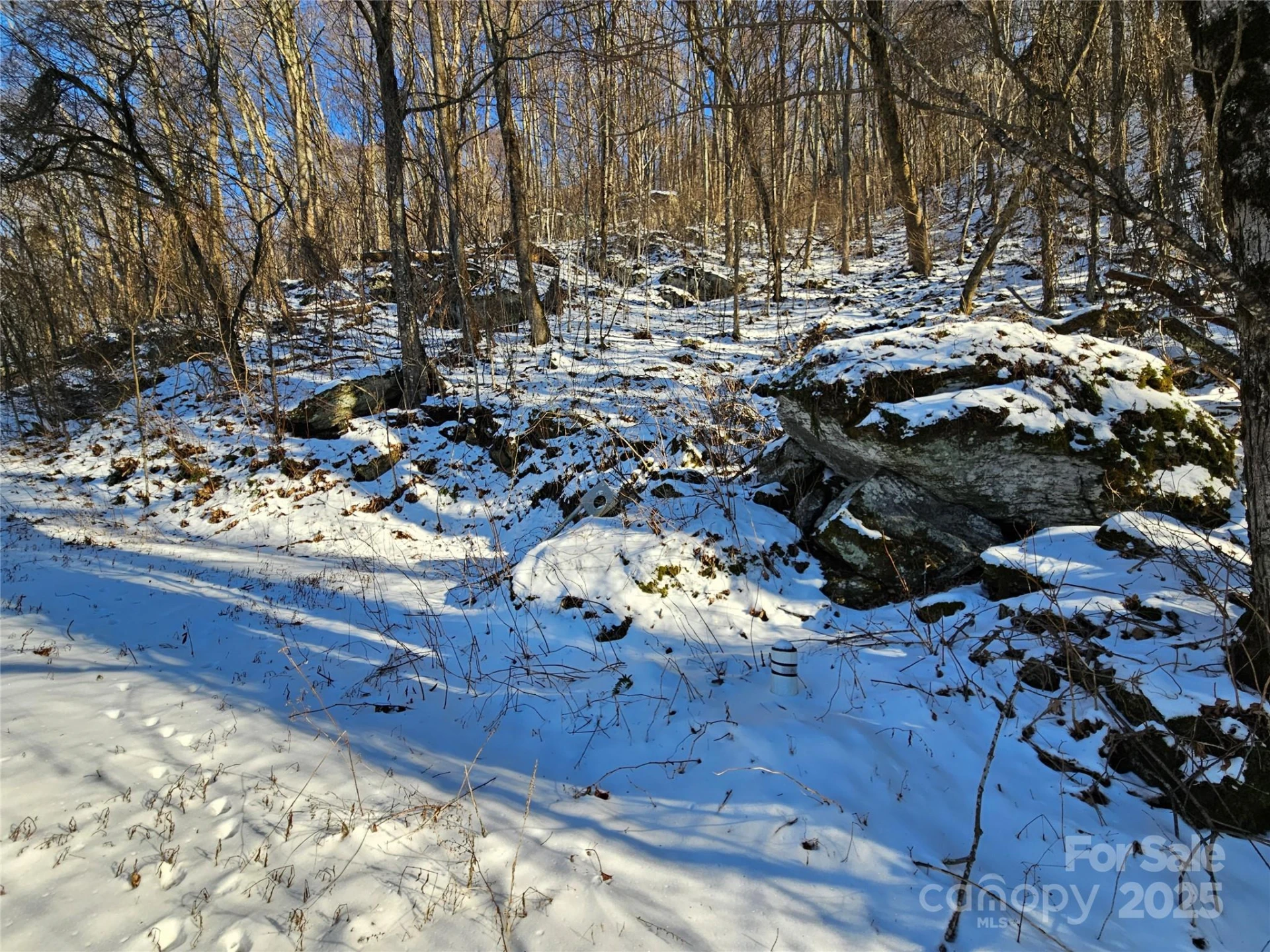 00 Marney's Vista Road - Photo 4