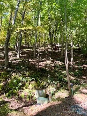 TBD Hickory Vista Lane #101, 102, 103, 106, 107 - Photo 3