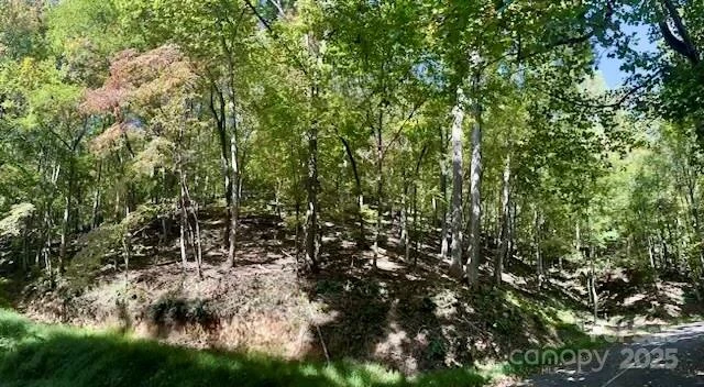 TBD Hickory Vista Lane #101, 102, 103, 106, 107 - Photo 6