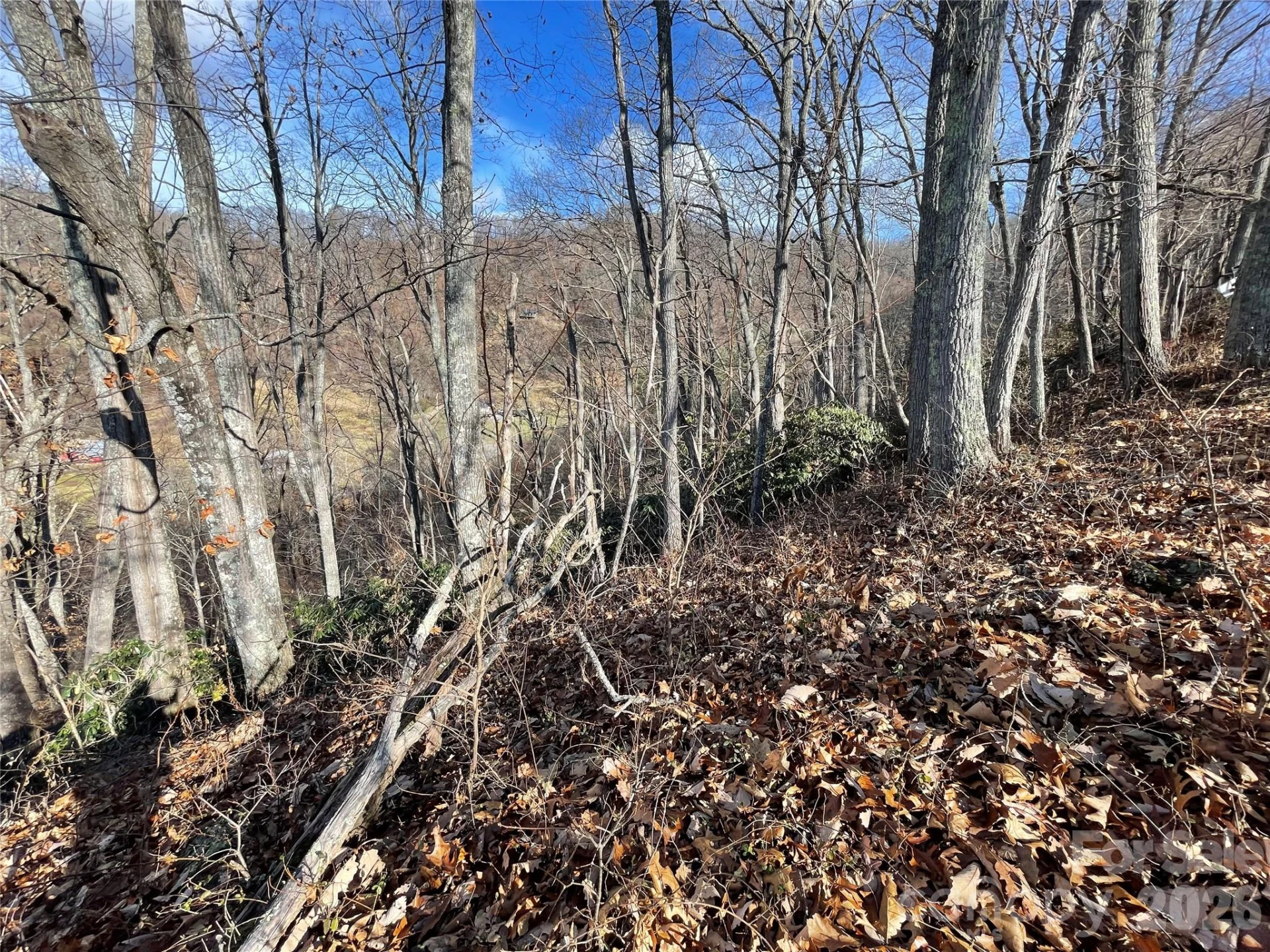 00 Wilson Cove Road - Photo 25
