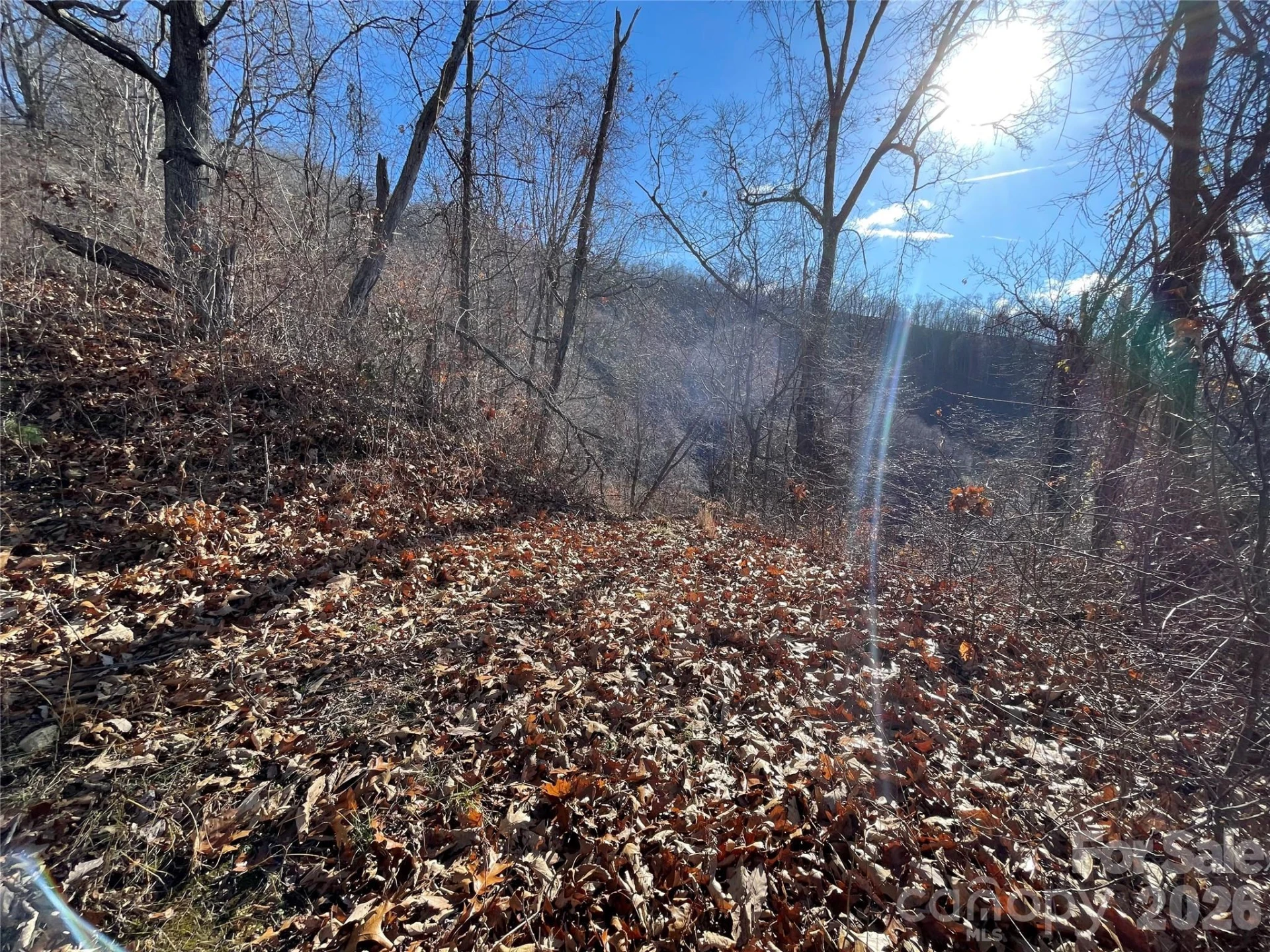 00 Wilson Cove Road - Photo 26