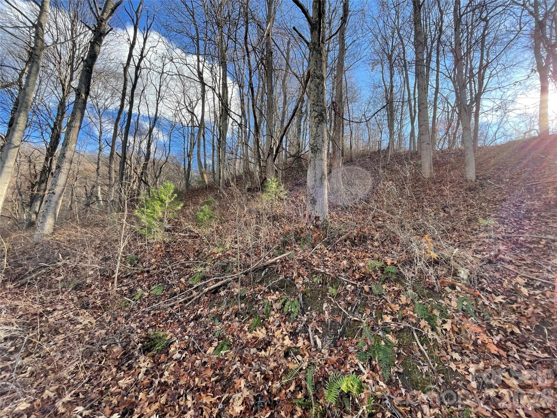 00 Wilson Cove Road - Photo 33