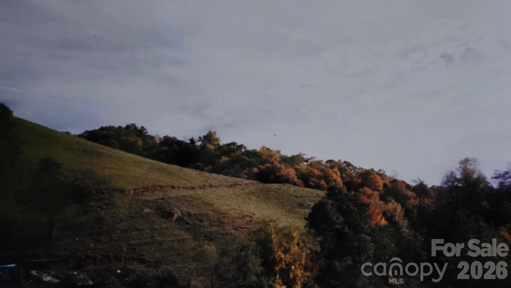 00 Wilson Cove Road - Photo 37