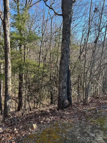 210 Thistlewynd Trail, Hendersonville, NC, 28739
