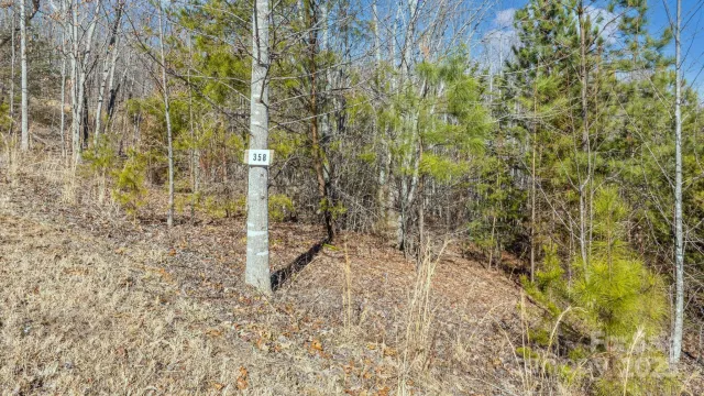 TBD Coal Pit Mountain Road