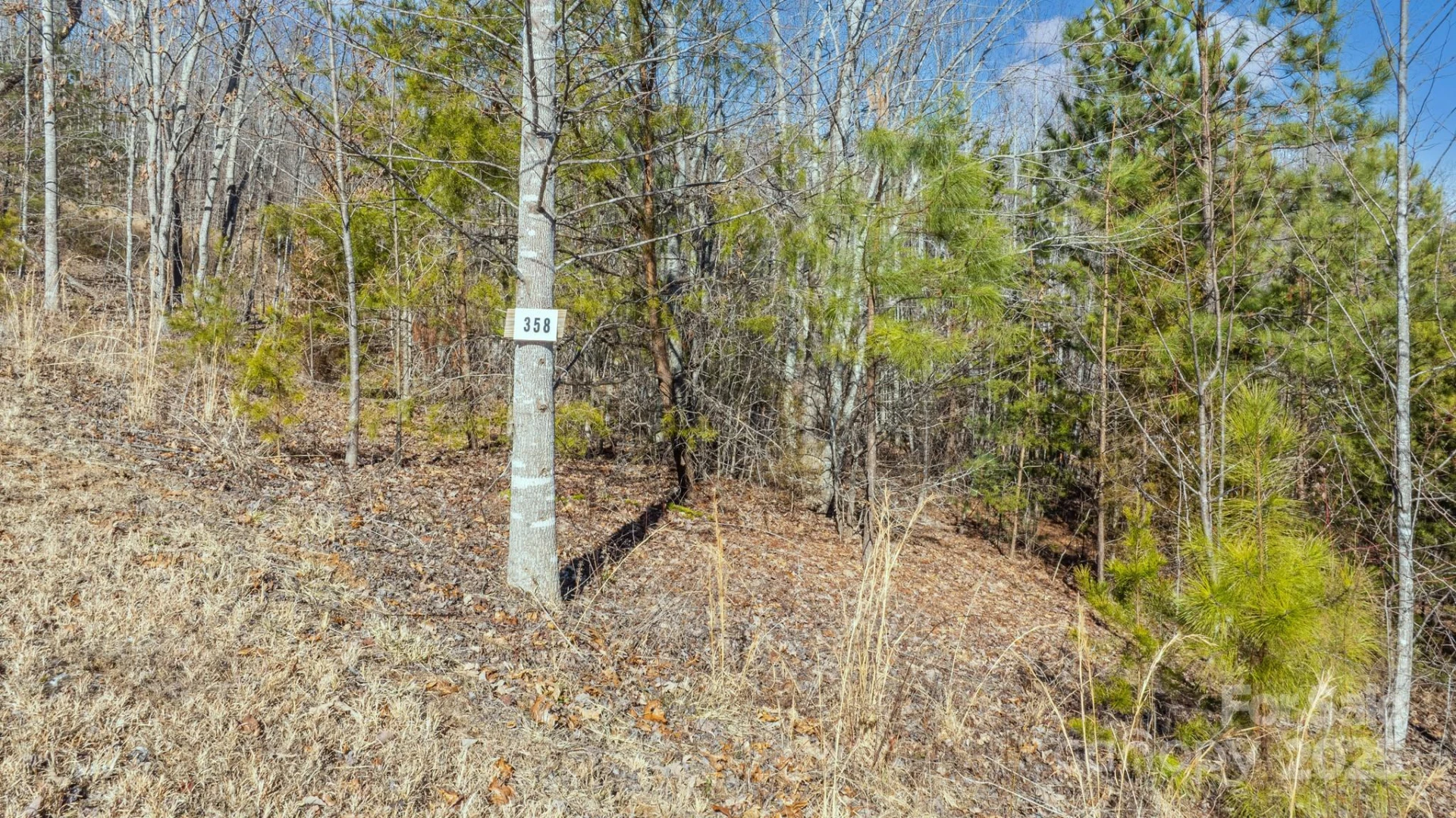 TBD Coal Pit Mountain Road