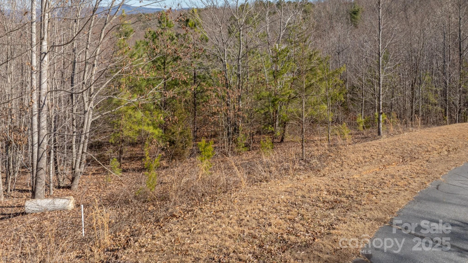 TBD Coal Pit Mountain Road - Photo 2