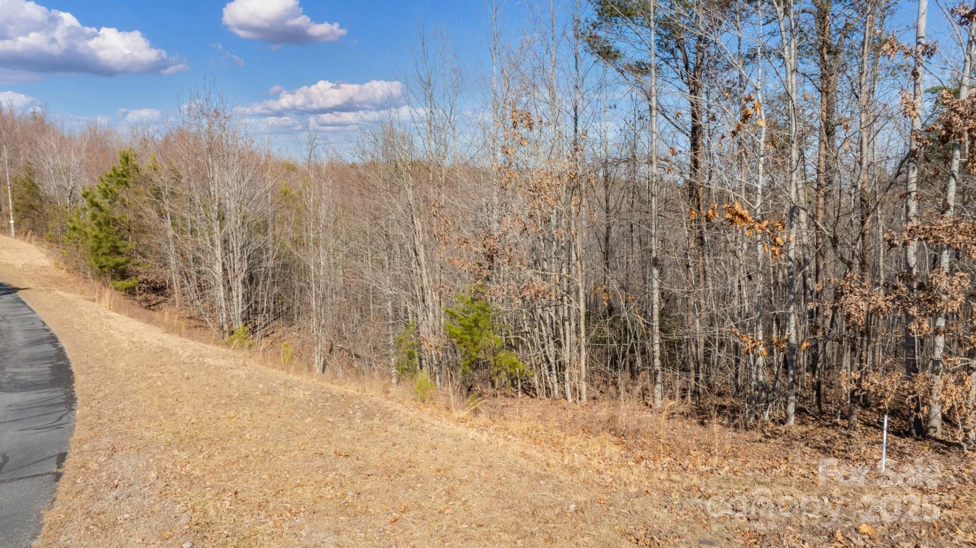 TBD Coal Pit Mountain Road - Photo 3