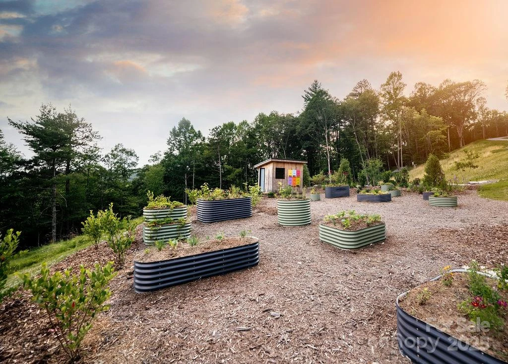 0000 West Garden Trail #Lot 67 - Photo 3