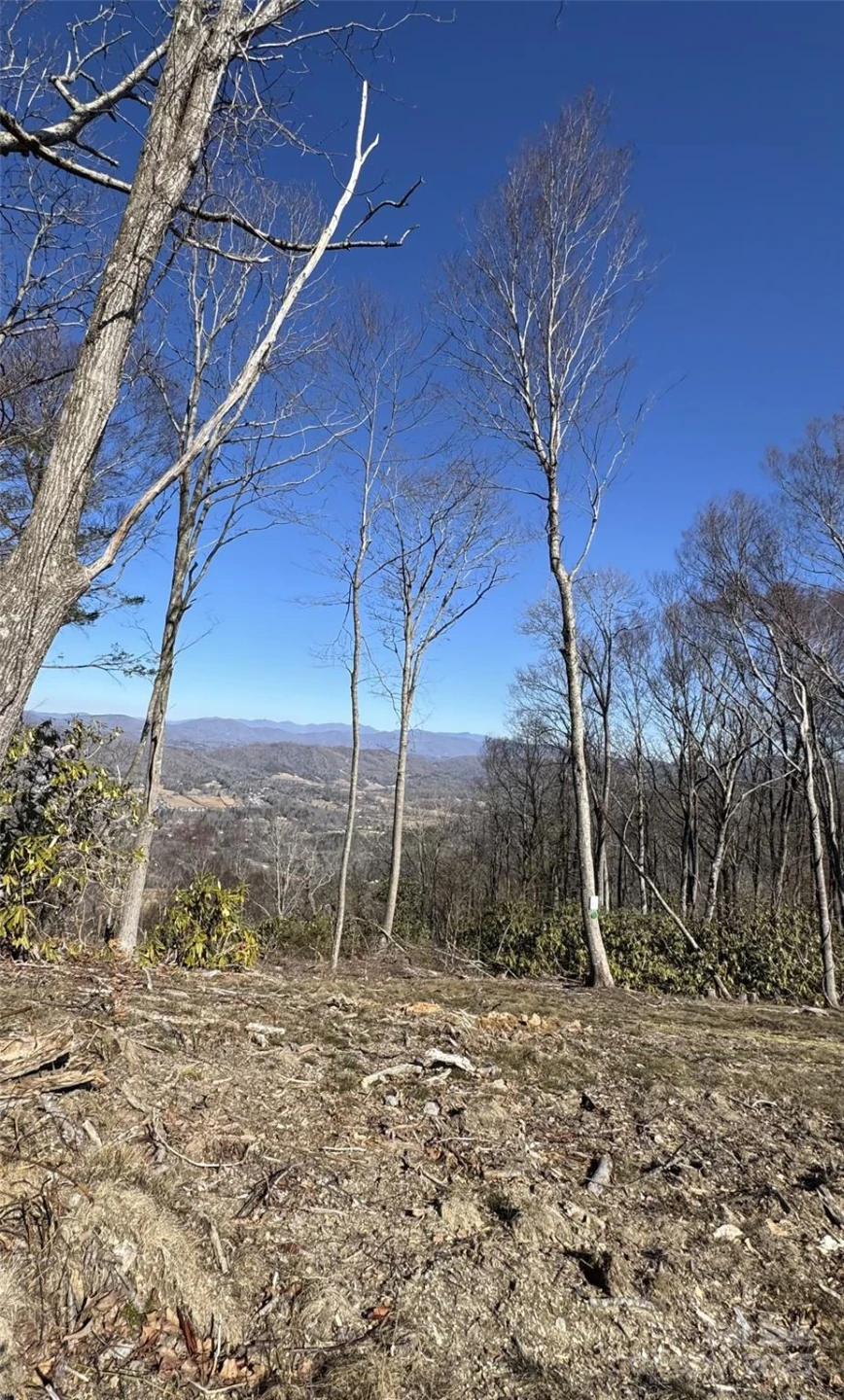 0000 West Garden Trail #Lot 67 - Photo 8