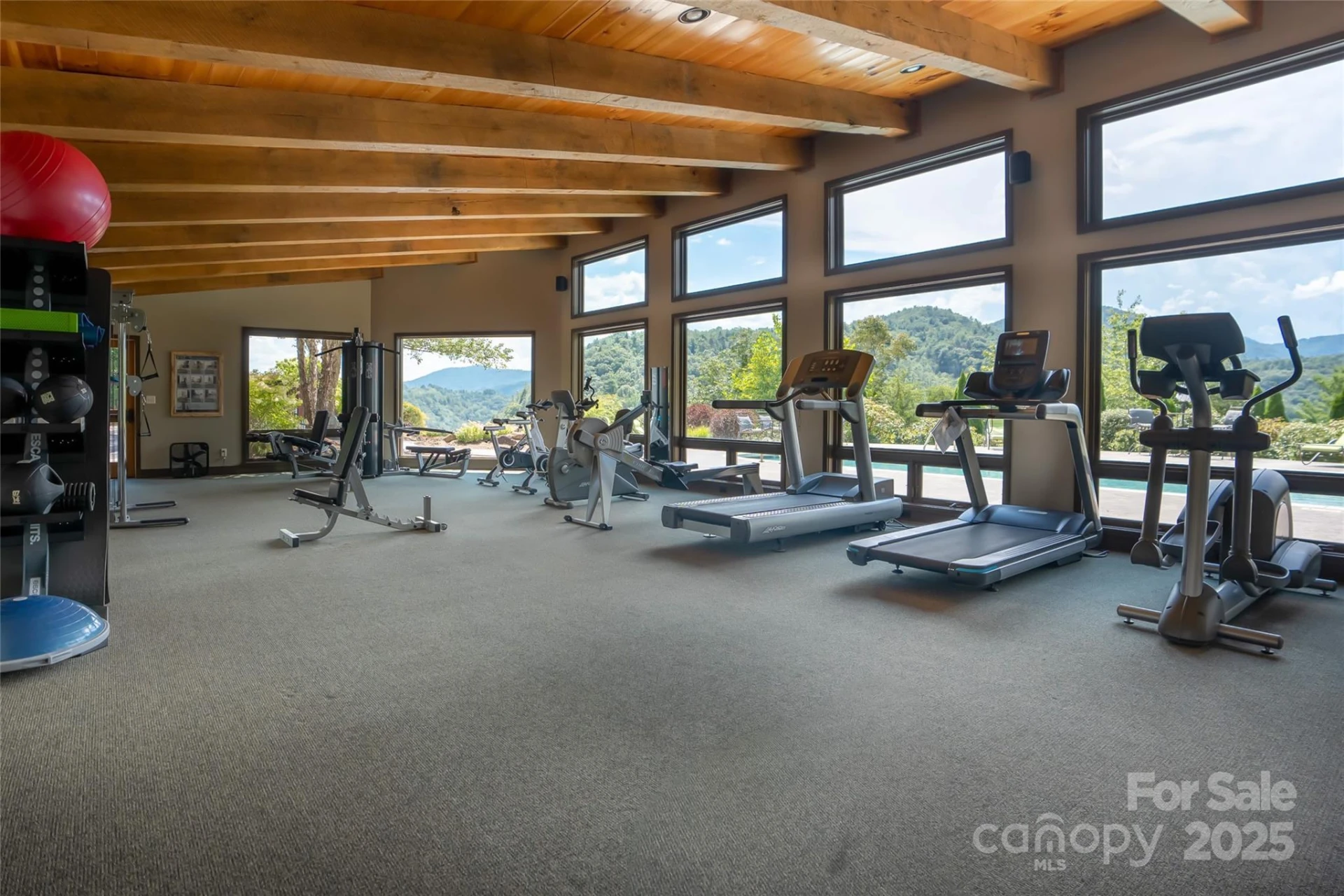 101 Red Maple Run #1 - Photo 20