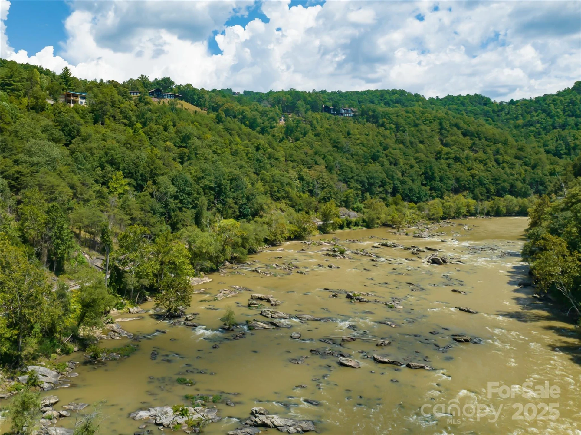 101 Red Maple Run #1 - Photo 25