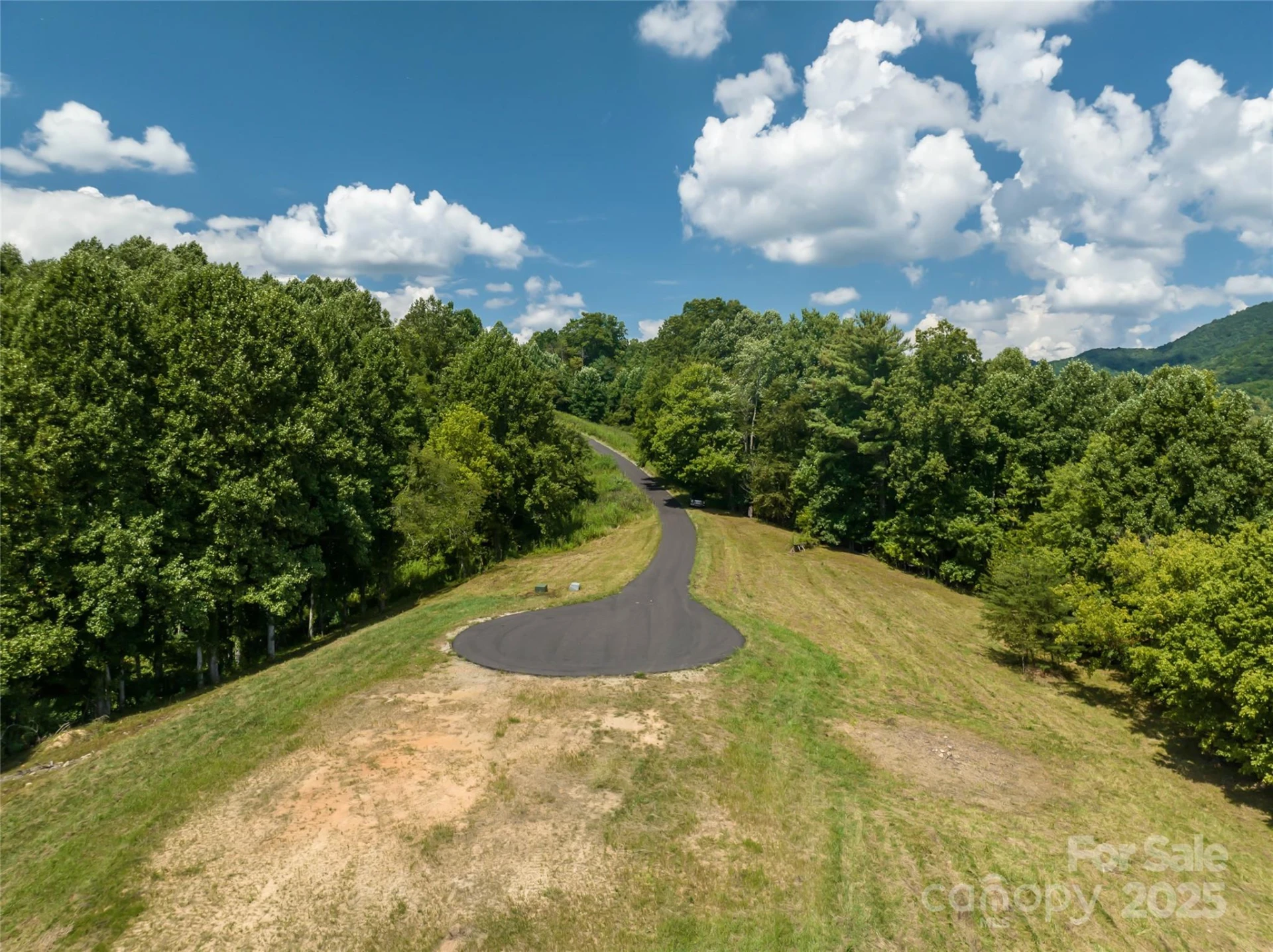 101 Red Maple Run #1 - Photo 38