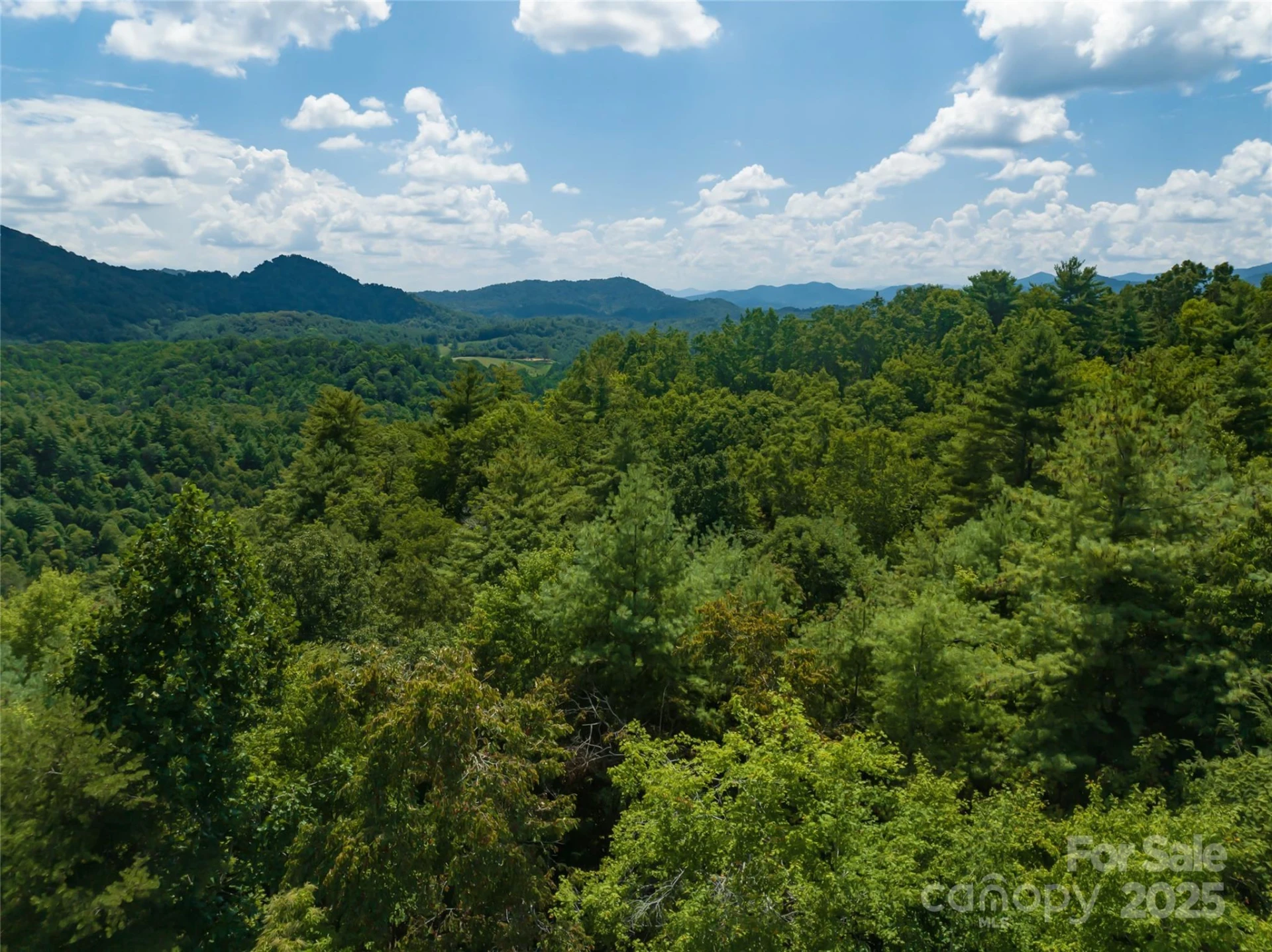 101 Red Maple Run #1 - Photo 40
