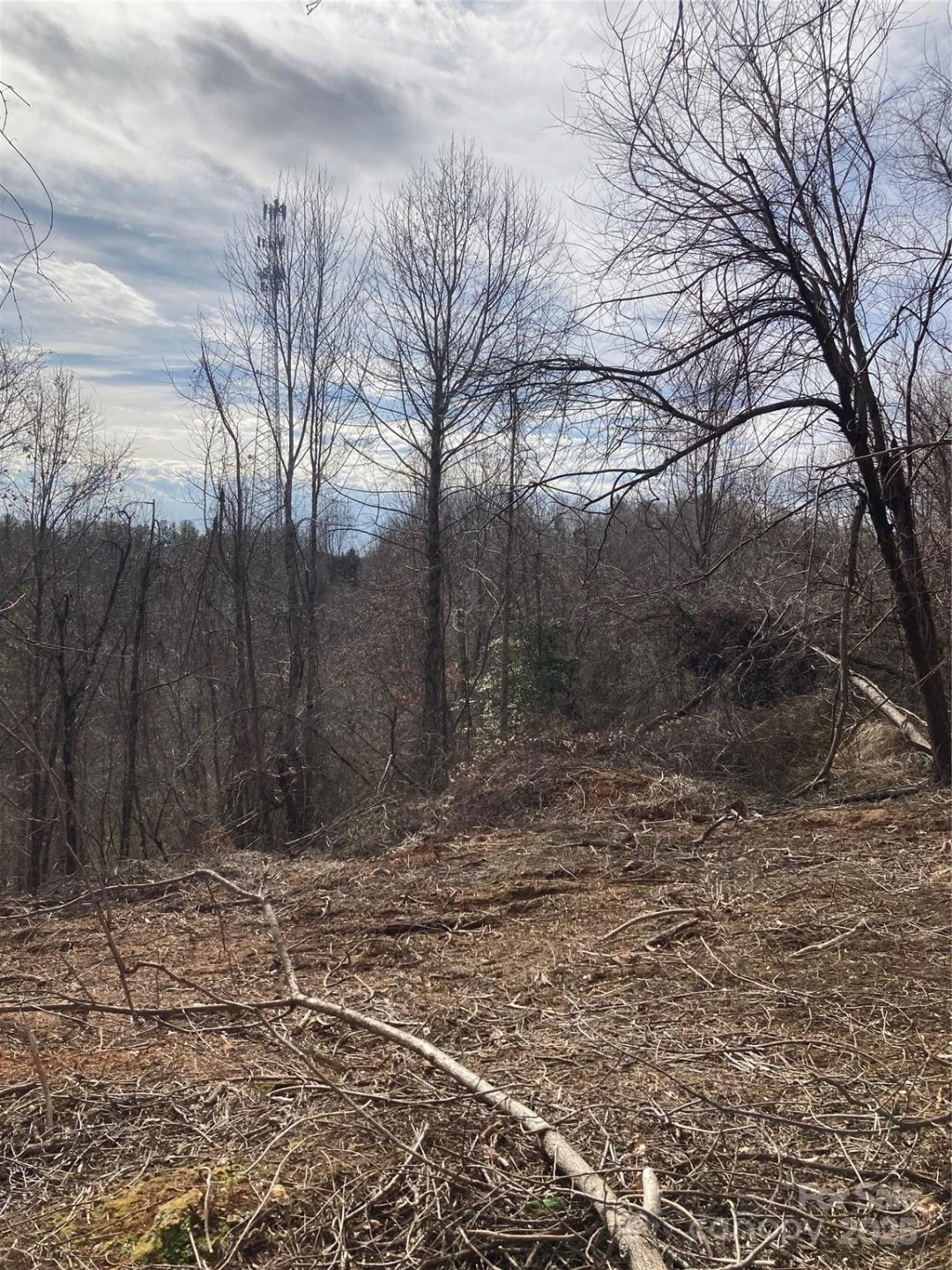 1638 Continental Divide Road #1 - Photo 5