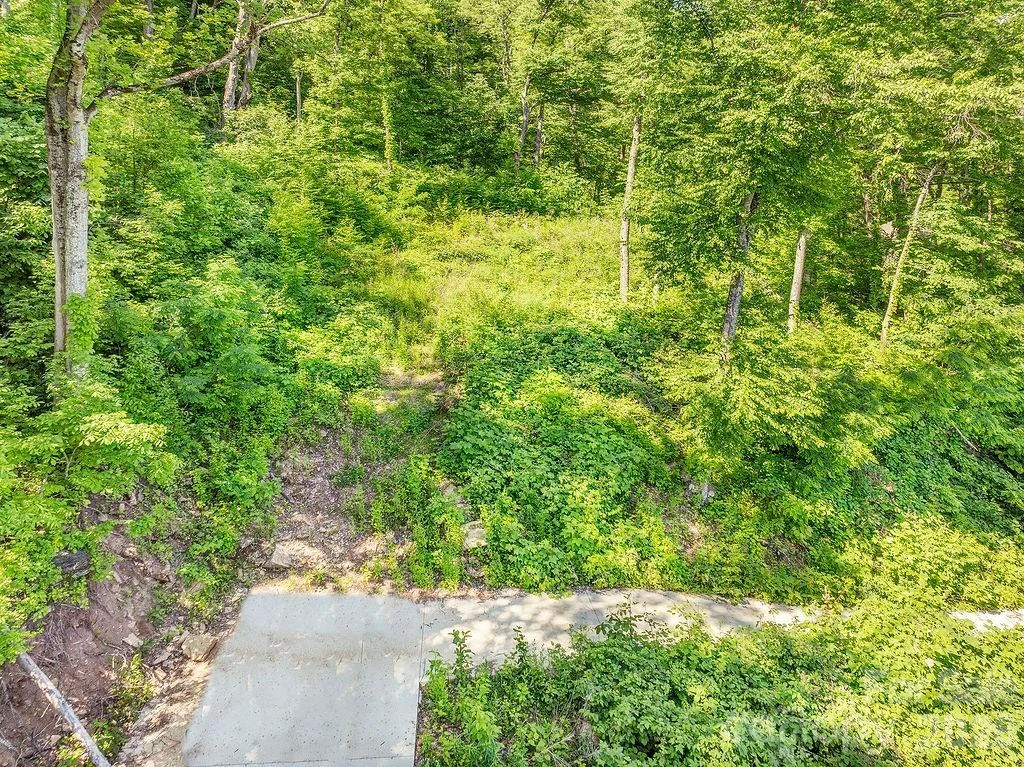 93 Patchens Estate Road #17 - Photo 2