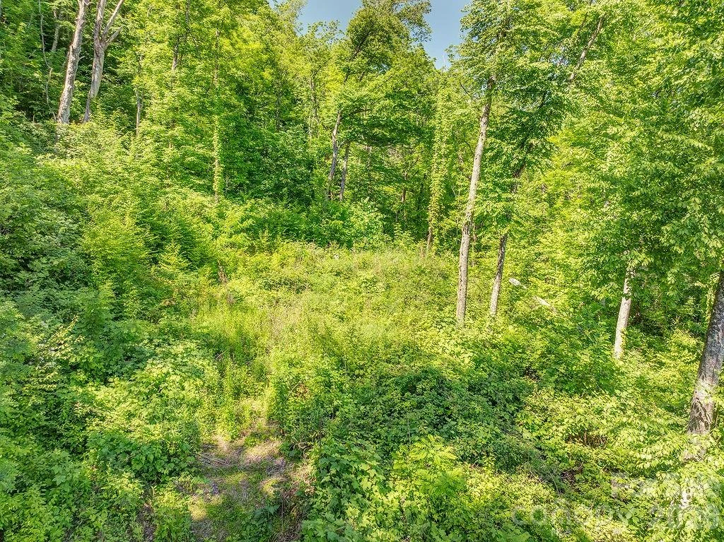 93 Patchens Estate Road #17 - Photo 5