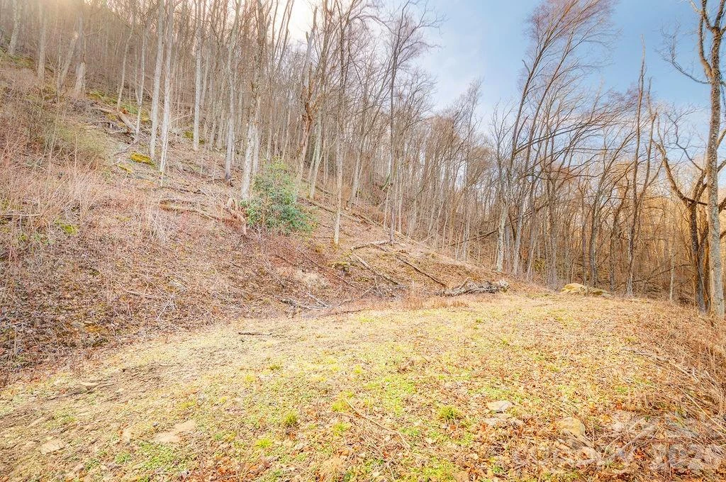 93 Patchens Estate Road #17 - Photo 8