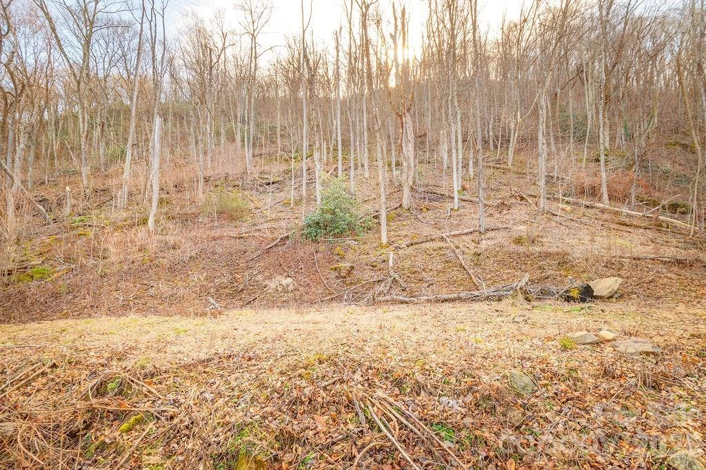 93 Patchens Estate Road #17 - Photo 9