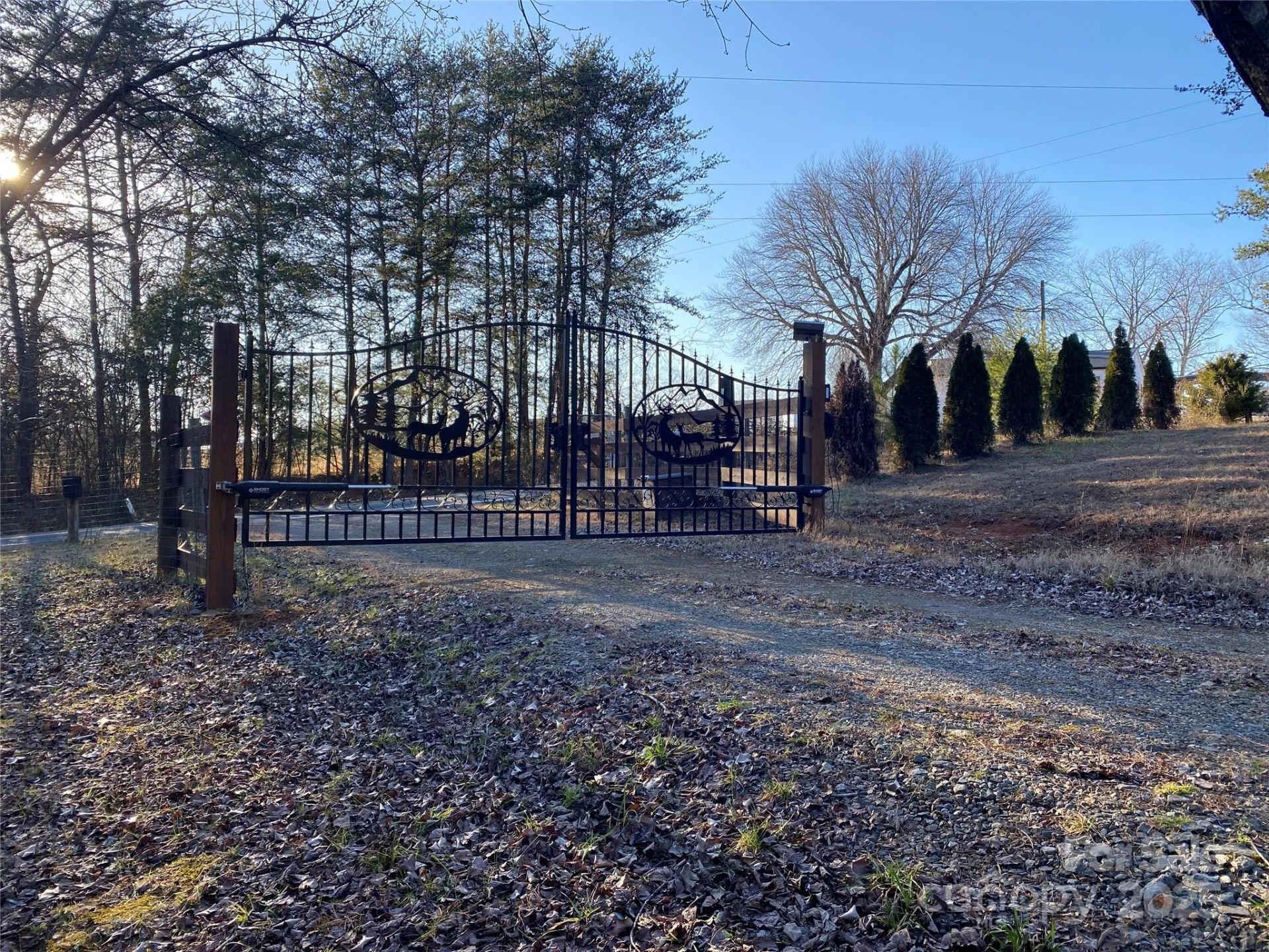 1180 Calton Road - Photo 13